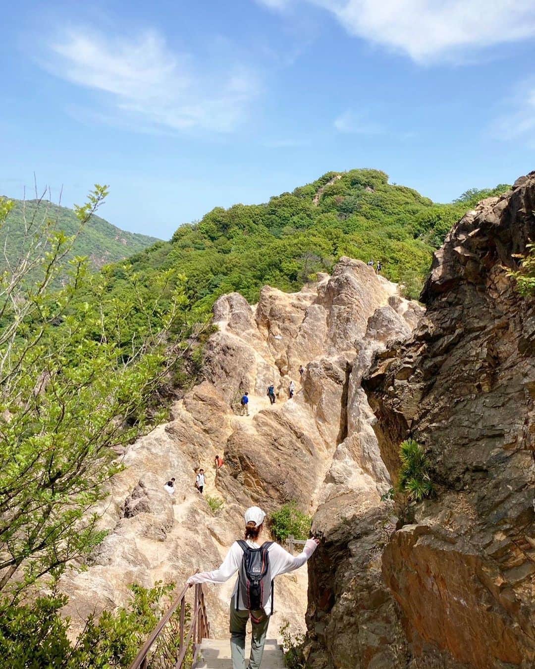 MariIryuのインスタグラム：「馬の背🐎⛰🌼🐝🍃  #須磨アルプス #須磨アルプス馬の背 #須磨アルプス縦走 #六甲 #六甲全山縦走 #横尾山 #高倉山 #鉄拐山 #旗振山 #鉢伏山 #馬の背 #須磨浦公園 #登山 #登山女子 #山」