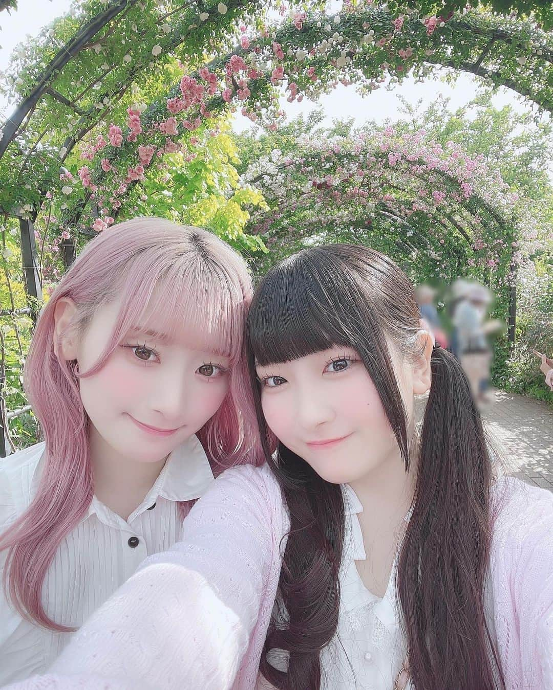 櫻井ももさんのインスタグラム写真 - (櫻井ももInstagram)「🌸🌹🌸🌹🌸  ‪❤︎︎  ‪❤︎︎  ‪❤︎︎  この間、だ〜いすきゅんなきあら先輩 @saito_kiara_ と #横浜イングリッシュガーデン いってきたよ🌹🩷 わたしの尊敬する先輩であり、癒しのきあら先輩……🤤🤍 一日ほーんとにたのしかったですっっっ🥹💗 お写真いっぱい撮ってもらったから、ちょっとずつ載せるね♪  そうそう、最近お花がだいすきでね〜〜🌷 お花の色って、すごくないですか？育つにつれて、自然とあんな色とりどりカワイイ色になっちゃうの！ 今までずっと何気なく見ていたけど、それに気づいてからも〜っとお花が好きになったの🌸 大好きなピンク色のバラも、たくさん見られました〜🥀🎀  ちなみに、さくらいもも、って名前に2つもお花の名前がはいってるんだよ🌸🍑カワイイでしょ💘   #イコラブ さん  #齋藤樹愛羅 さん #きゅあらもーど 🩷🩷🩷  #ノイミー #きゅんかわ」5月13日 21時11分 - sakurai_momo_