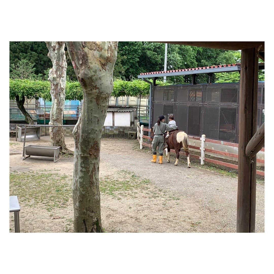 柳野玲子のインスタグラム