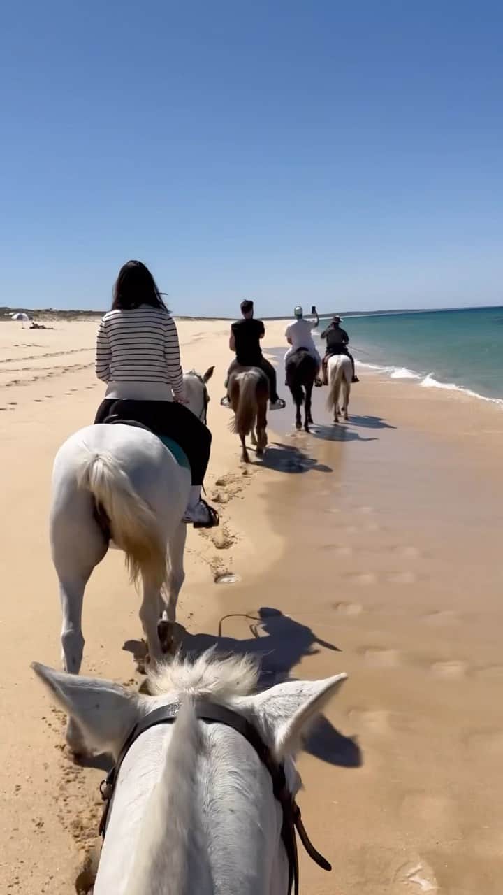 テイラー・ロートナーのインスタグラム：「Portugal pals 🇵🇹」
