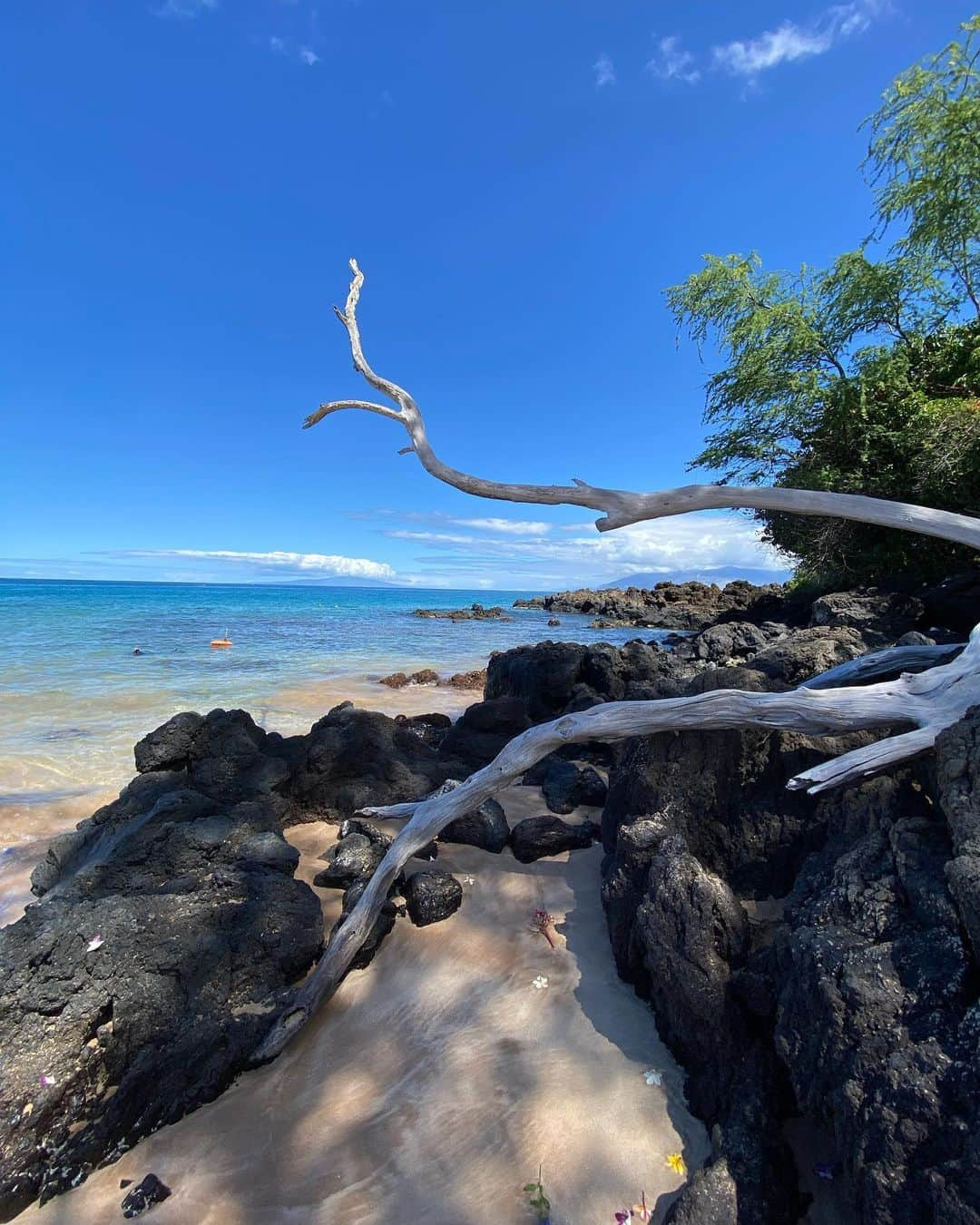 ドット=マリー・ジョーンズさんのインスタグラム写真 - (ドット=マリー・ジョーンズInstagram)「Nap on the beach! I never wanna leave here!! Thank you Hawaii for a slice of heaven, thank you may We have another. @bridgettcjones  #MAUI 🤙🏻❤️🐢🌺🌸 🏝 🌊」5月14日 8時16分 - dotmariejones