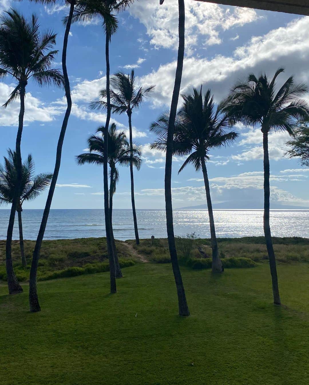 ドット=マリー・ジョーンズさんのインスタグラム写真 - (ドット=マリー・ジョーンズInstagram)「Nap on the beach! I never wanna leave here!! Thank you Hawaii for a slice of heaven, thank you may We have another. @bridgettcjones  #MAUI 🤙🏻❤️🐢🌺🌸 🏝 🌊」5月14日 8時16分 - dotmariejones