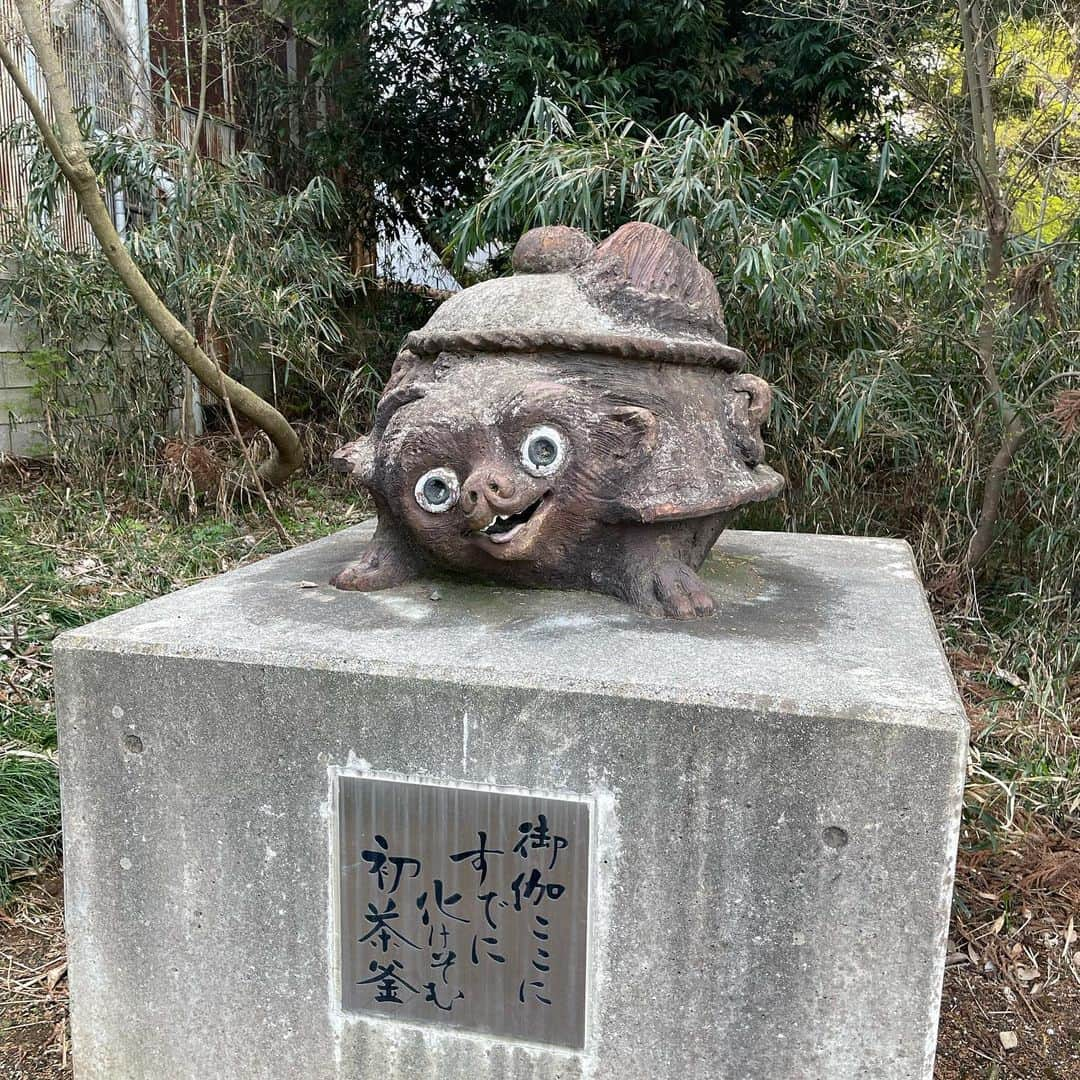 しまおまほさんのインスタグラム写真 - (しまおまほInstagram)「茂林寺の狸はシン・ゴジラの蒲田くんに似ていた」5月14日 8時25分 - mahomahowar