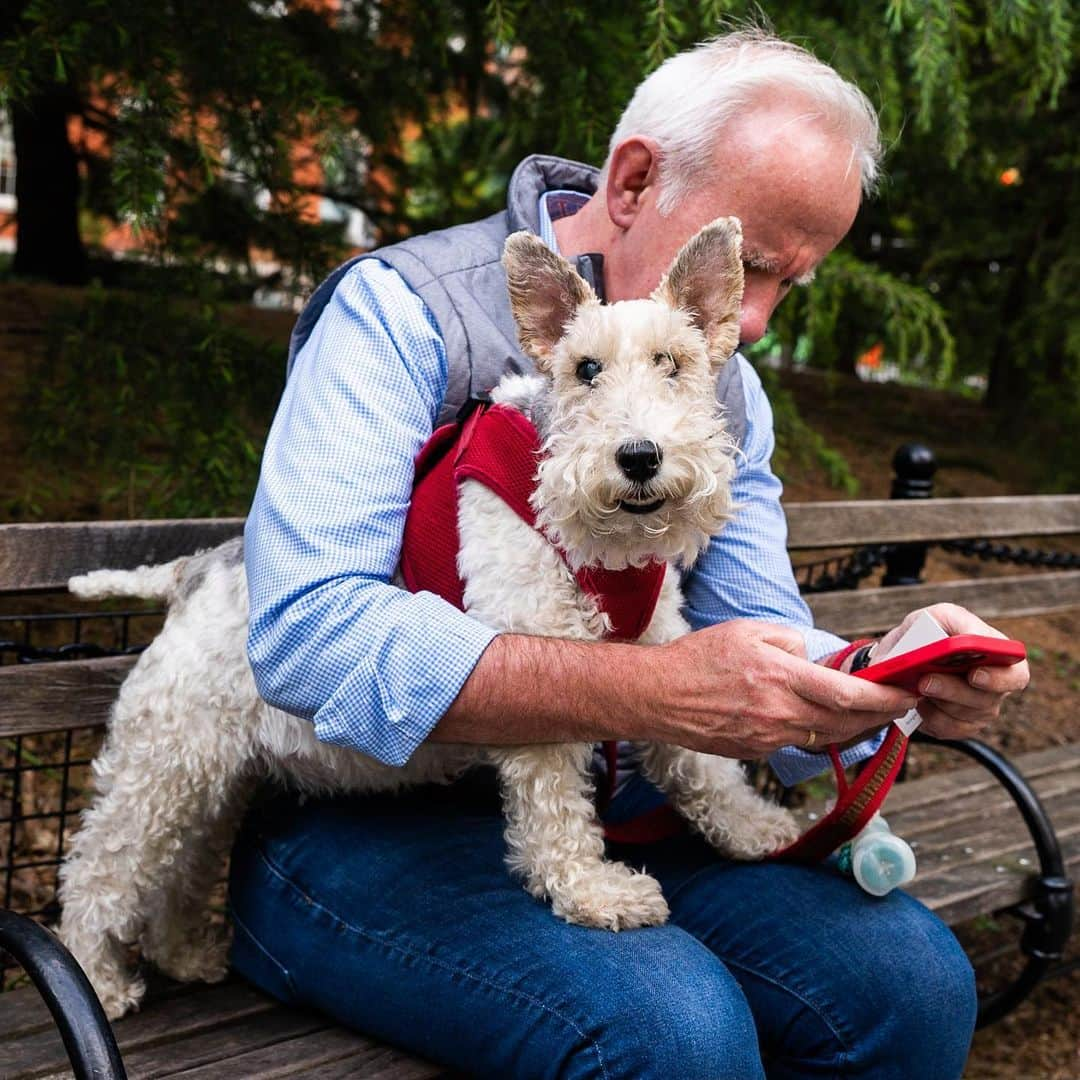 The Dogistさんのインスタグラム写真 - (The DogistInstagram)「Cosmo, Wire Fox Terrier (10 y/o), Washington Square Park, New York, NY • “You photographed her in 2017. She has glaucoma now; she’s blind in one eye. But it doesn’t stop her from running around like crazy. She’s still a crazy girl.”」5月14日 0時03分 - thedogist