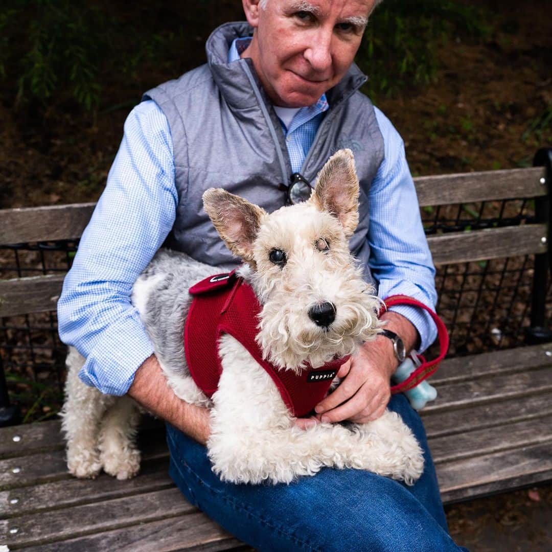 The Dogistさんのインスタグラム写真 - (The DogistInstagram)「Cosmo, Wire Fox Terrier (10 y/o), Washington Square Park, New York, NY • “You photographed her in 2017. She has glaucoma now; she’s blind in one eye. But it doesn’t stop her from running around like crazy. She’s still a crazy girl.”」5月14日 0時03分 - thedogist