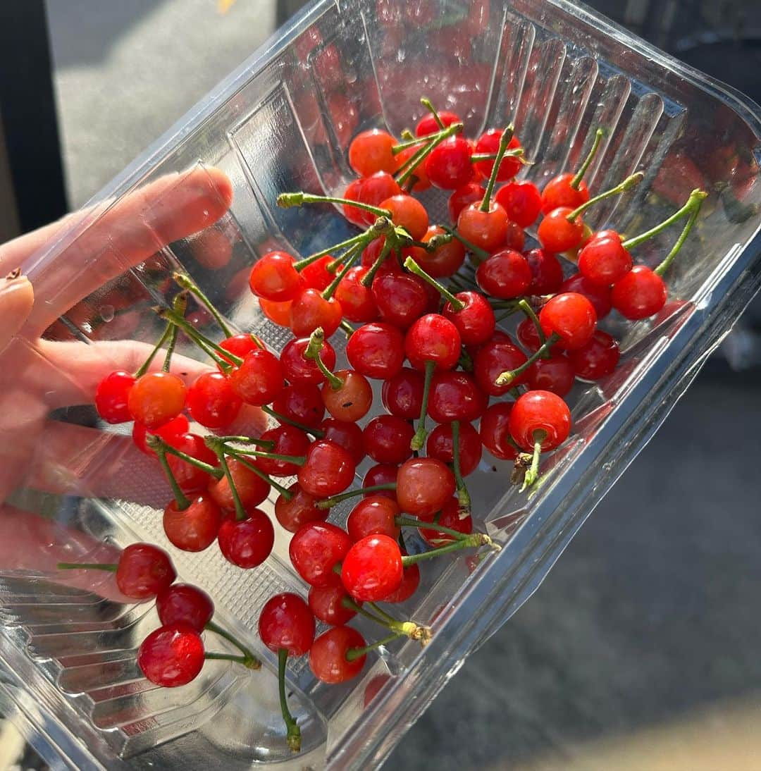 黒田絢子さんのインスタグラム写真 - (黒田絢子Instagram)「おばあちゃん👵家の桜の木に実った🍒💕 さくらんぼ狩りの収集の声がおばあちゃんからかかったので すぐに飛んで行きました🍒 甘酸っぱくてめちゃくちゃjapaneseな🍒 沢山取れたよ💕 おばあちゃん大好き❤️❤️  #おばあちゃん #母の日 #さくらんぼ #japaneseblossom  #blossom #lovely #fruits #cherry #cherryblossom」5月14日 0時09分 - ayakokuroda_official