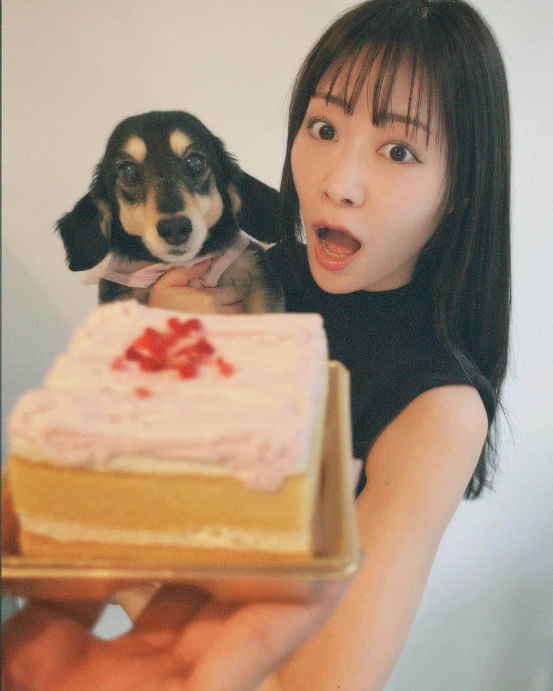 梶原ひかりさんのインスタグラム写真 - (梶原ひかりInstagram)「11歳おめでとう🐶」5月14日 0時43分 - hikarikajiwara