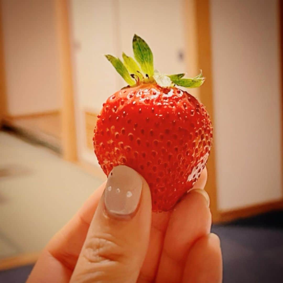 のインスタグラム：「そして 最高の時間は続く  #あまおう #苺深夜の爆喰い #美味すぎる #心もお腹も満ちる夜 #きっと苺まみれの夢をみるに違いない #strawberry #ありがとう」