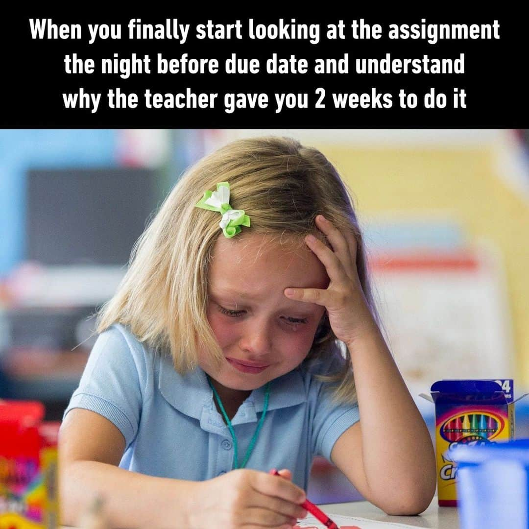 9GAGさんのインスタグラム写真 - (9GAGInstagram)「I shouldn't have procrastinated  - #assignment #homework #school #procraastination #memes #9gag」5月14日 4時00分 - 9gag