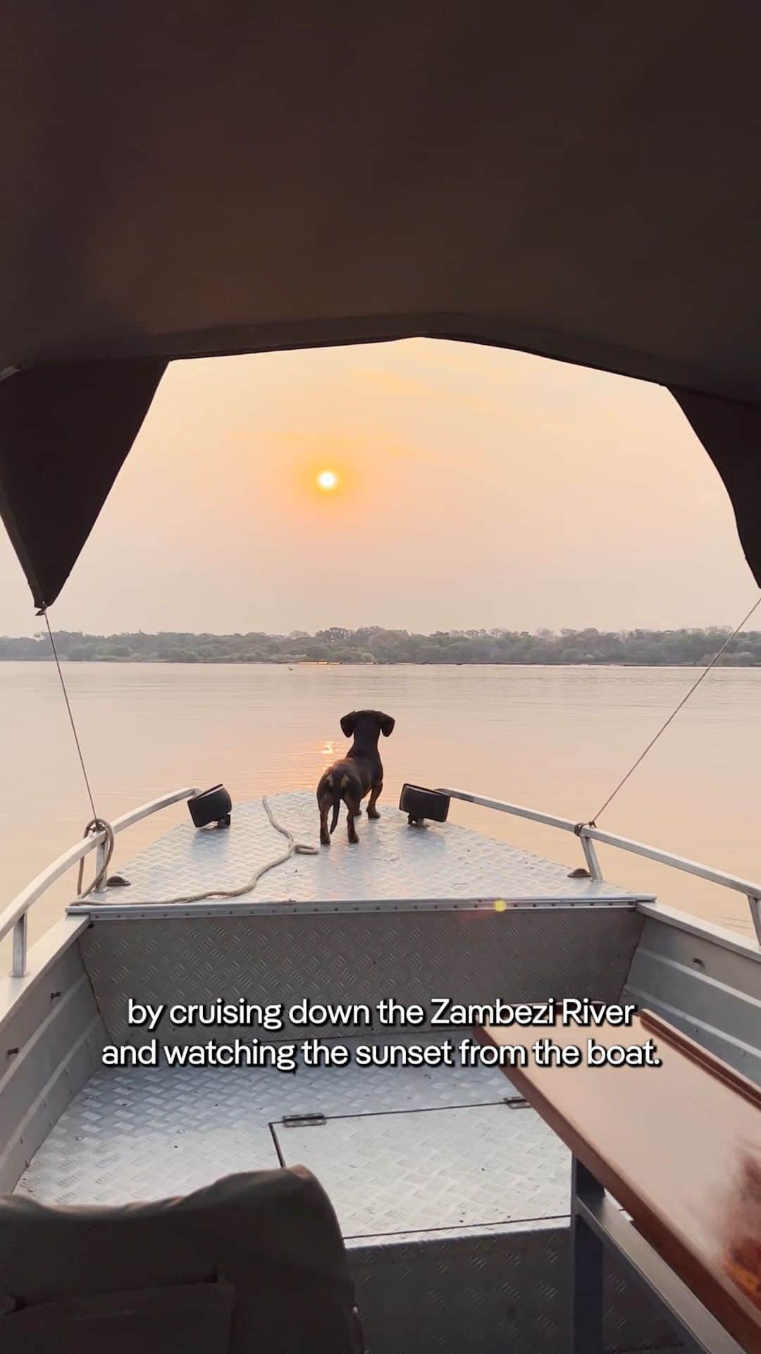 Lonely Planetのインスタグラム：「Behold: local creator Mark Mpundu's perfect day in Zambia. To recreate it, trek to some of our fave waterfalls (we ♥️ Victoria Falls!) and cruise down the Zambezi river. Pro tip: since the country is spread out, pick two regions and plan a weeklong stay to soak it all in.」