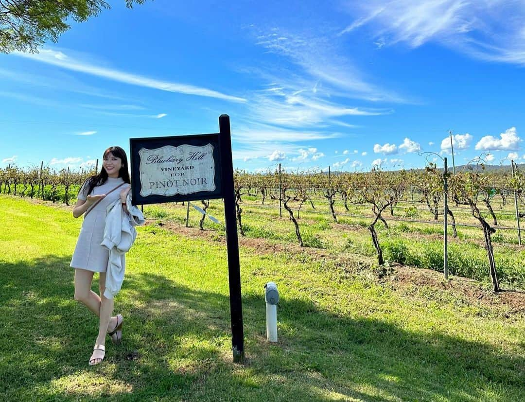 宮田亜夢のインスタグラム：「オーストラリア🇦🇺ハンターバレーに行ってきました💗  1泊2日で5つのワイナリーを巡りました🍷沢山飲んだな〜〜🥂🥰  ・Leogate Eatate ・Oaks Vale ・Blueberry Hill Estate ・Peterson Winery ・Peterson House  めちゃくちゃ楽しくて最高に忘れられない良い思い出ができました🥹💕 お誘い頂き感謝感謝感謝です🥹  #オーストラリア #ワイナリー #australia  #sydney #winery  #huntervalley  #ハンターバレー  #newsouthwales  #wine #winelover #winetasting   #leogateestate #oaksvale  #blueberryhillestate  #petersonwinery  #petersonhouse」