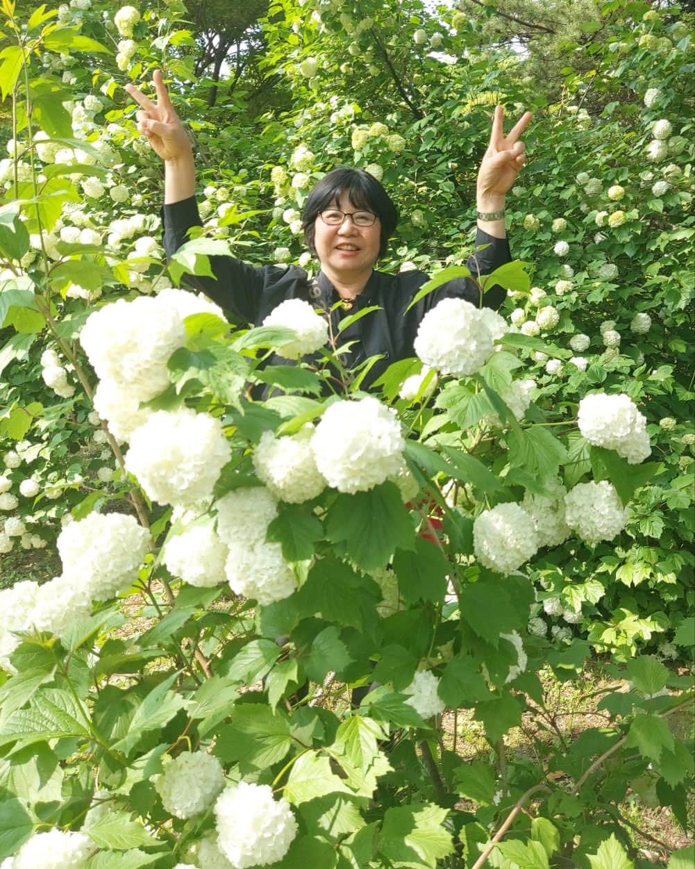 ソンジェ さんのインスタグラム写真 - (ソンジェ Instagram)「꽃을 찾으시오」5月14日 17時40分 - kim_sung_je