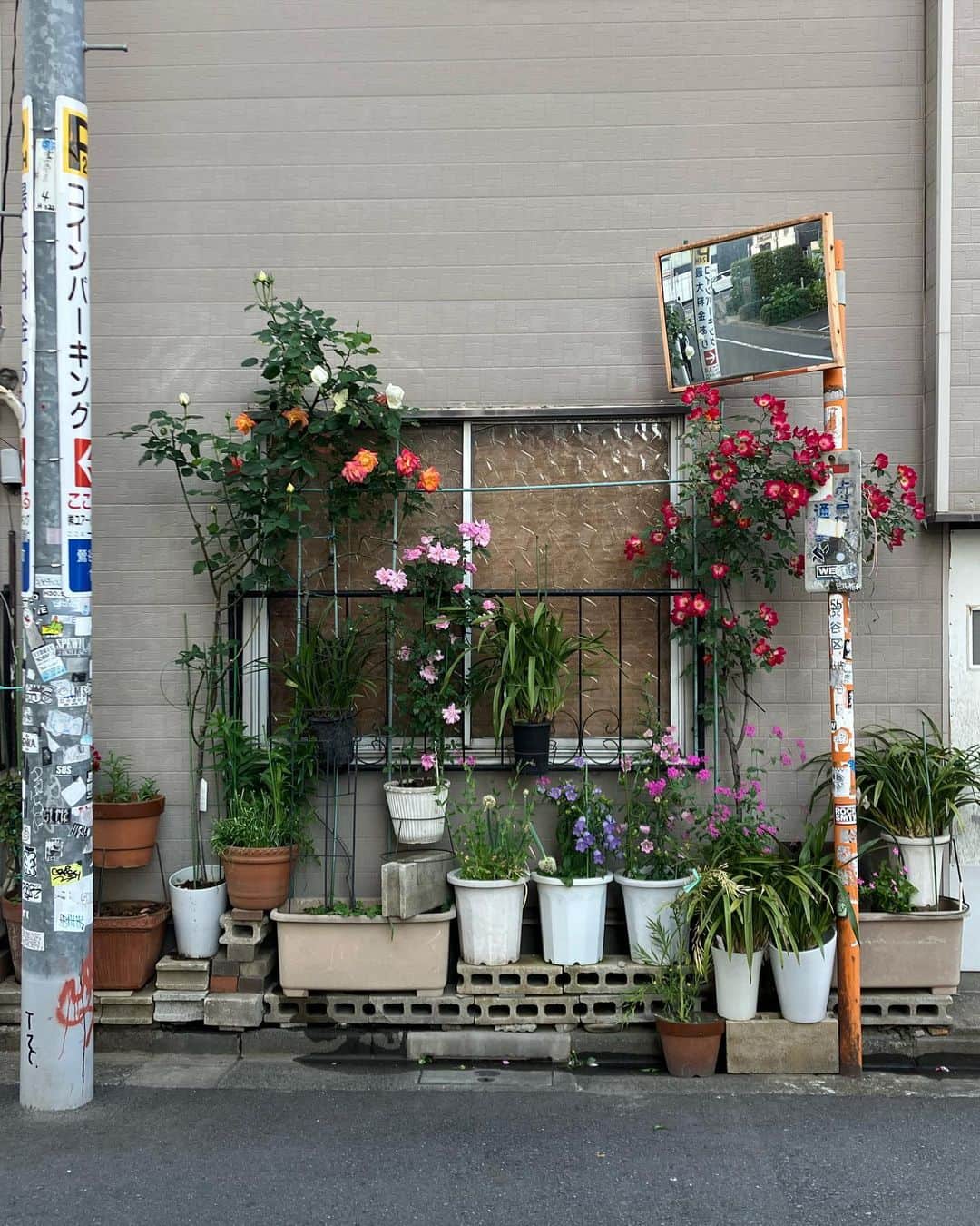 ケリーアンのインスタグラム：「Tokyo...  Snippets of everyday life.」