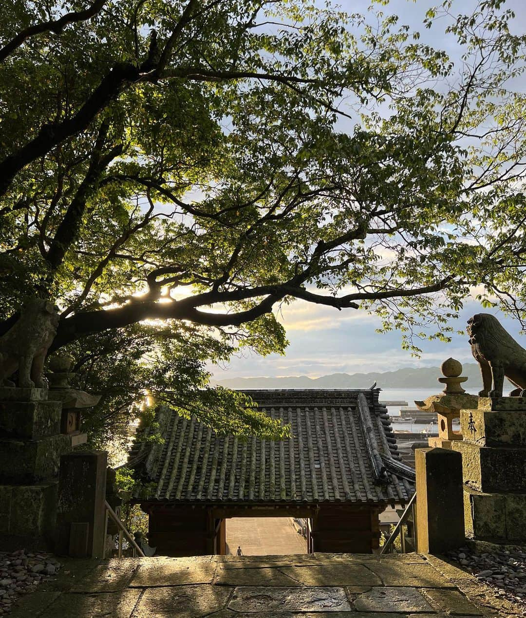 BESさんのインスタグラム写真 - (BESInstagram)「今夜は淡路島からもう一つ渡った島、沼島(沼島)でライブです😊  光栄な事にこの沼島で歌手がライブするのは今夜が初めてらしく、本当にありがたい気持ちで胸がいっぱいです😌  ライブさせて頂く前に沼島八幡神社に御挨拶させてもらいにきました🙏🏾  恩師あさおくんの命日、僕は元気でやってます🙏🏾  まだまだ全国盛り上げに行きますー🙌🏾🙌🏾🙌🏾🙌🏾  #bes#沼島#音楽」5月14日 18時16分 - bes1983