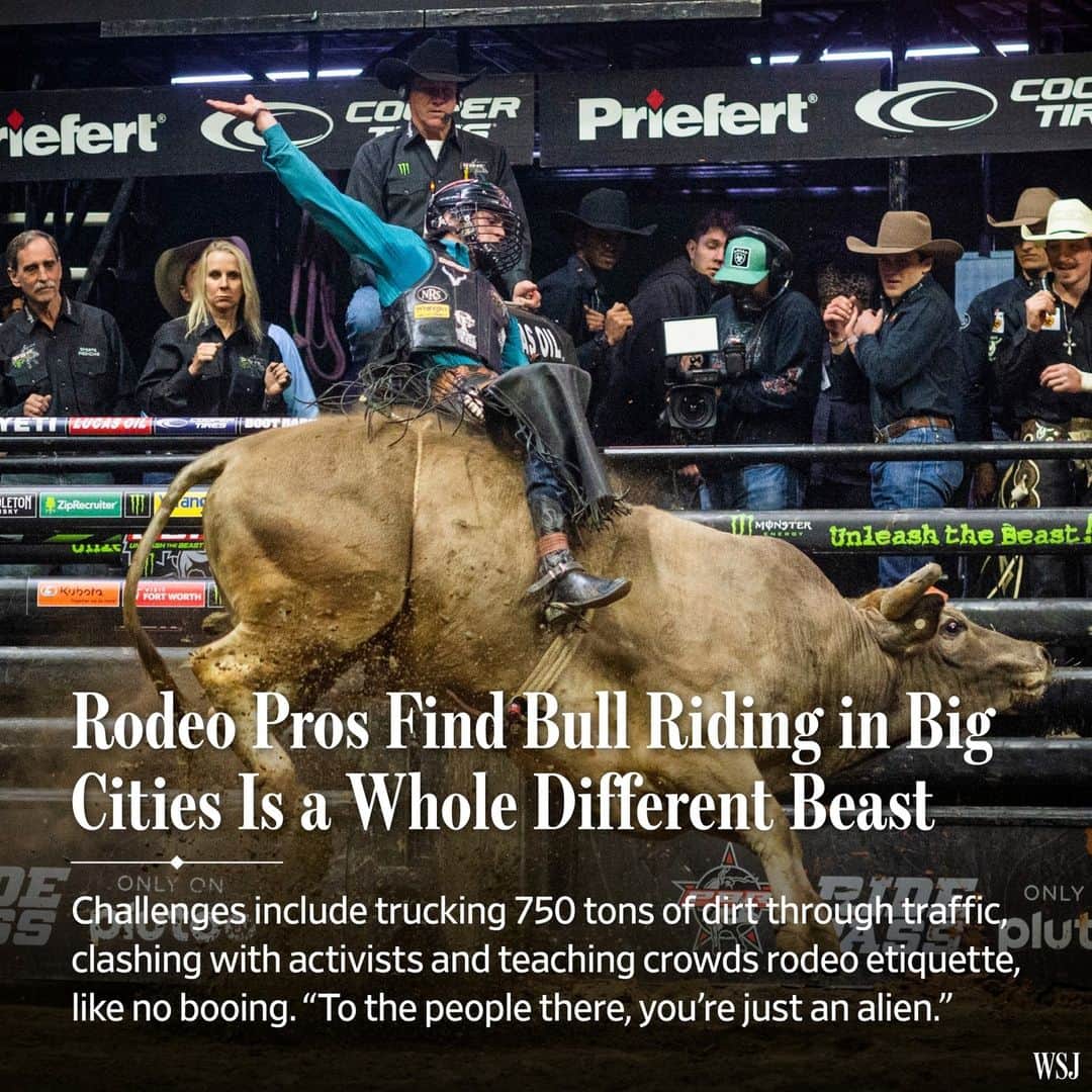 Wall Street Journalさんのインスタグラム写真 - (Wall Street JournalInstagram)「Bull riding is becoming more popular in metro areas, with the coast-to-coast Professional Bull Riders circuit increasing the number of cities in its mix, including to some areas known more for congestion than cowboys.⁠ ⁠ Newcomers and recent returnees to the PBR include Milwaukee, Manchester, N.H., Albany, N.Y., and Ocean City, Md. Rodeo organizers sometimes have to adjust their routines in locales that are not exactly home, home on the range.⁠ ⁠ When bull riders make their way to New York City’s Madison Square Garden, as they did earlier this year, it’s never an easy lift for the dozens of behind-the-scenes employees and contractors. Randy Spraggins is charged with getting 750 tons of dirt—or 35 dump-truck loads—into the arena. His solution to the challenge of bringing the dirt into traffic-filled Midtown Manhattan: He does his trucking in the stealth of night, one load at a time.⁠ ⁠ Los Angeles, where the bull-riding events take place at the Crypto.com Arena, can be a boot kick in the jeans in a different way. Pricey parking rates are an issue, so the PBR avoids bringing its trucks into the city too far ahead of any event because of the hefty fees.⁠ ⁠ There are also cultural clashes there with activists who say the bulls aren’t treated properly, a charge PBR officials vehemently deny.⁠ ⁠ When the crowd is restless, the PBR relies on Flint Rasmussen, a veteran rodeo clown who has songs on hand that play to local sentiment. In New England, it’s “Sweet Caroline’’; in New York, “Piano Man.”⁠ ⁠ He notes that New York crowds can be tough. If a number of riders fail to last the eight seconds atop the bull, attendees will start booing. “You don’t do that in cowboy world,” he says.⁠ ⁠ Read more at the link in our bio.⁠ ⁠ 📷: Emily Kask for @wsjphotos」5月14日 10時00分 - wsj
