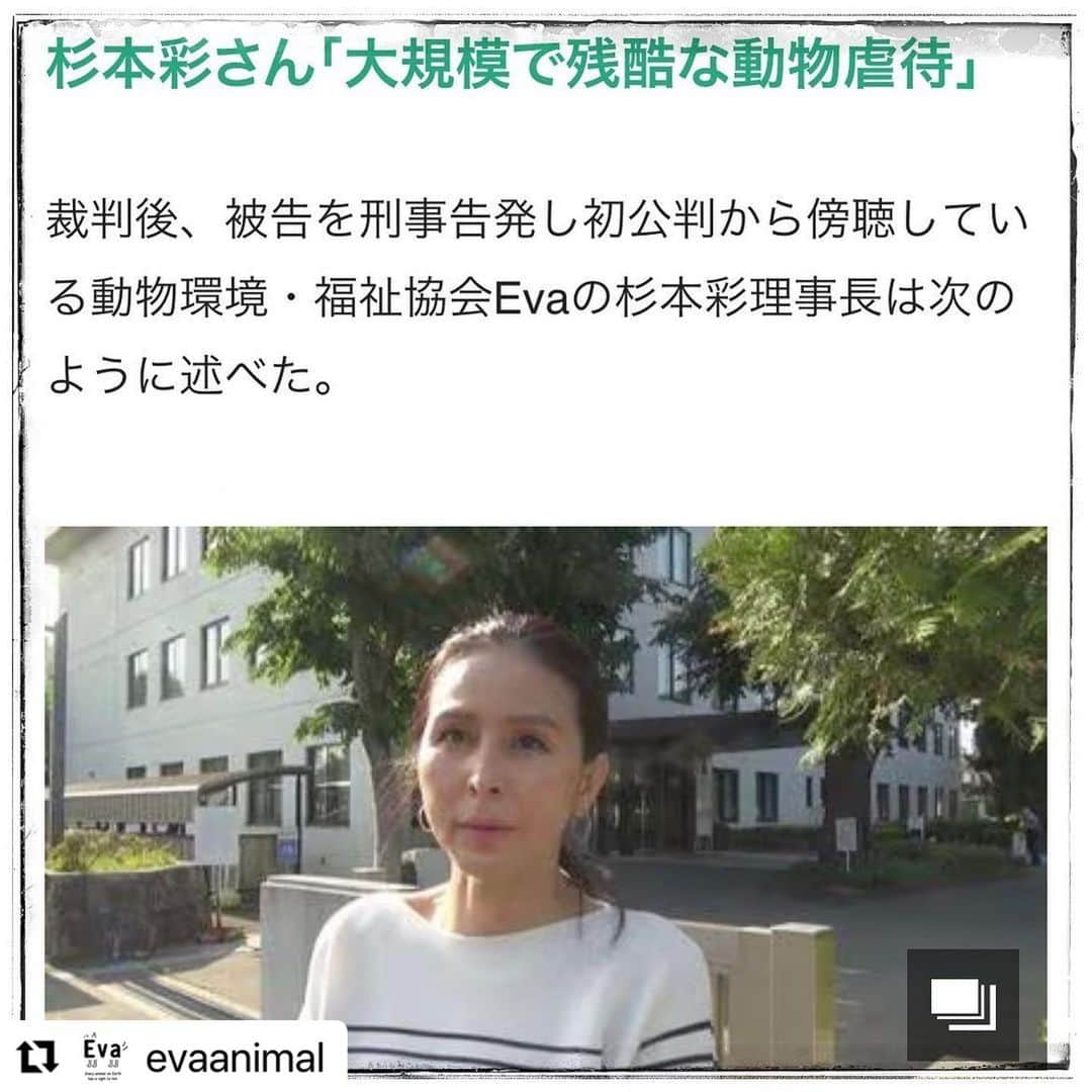 杉本彩のインスタグラム