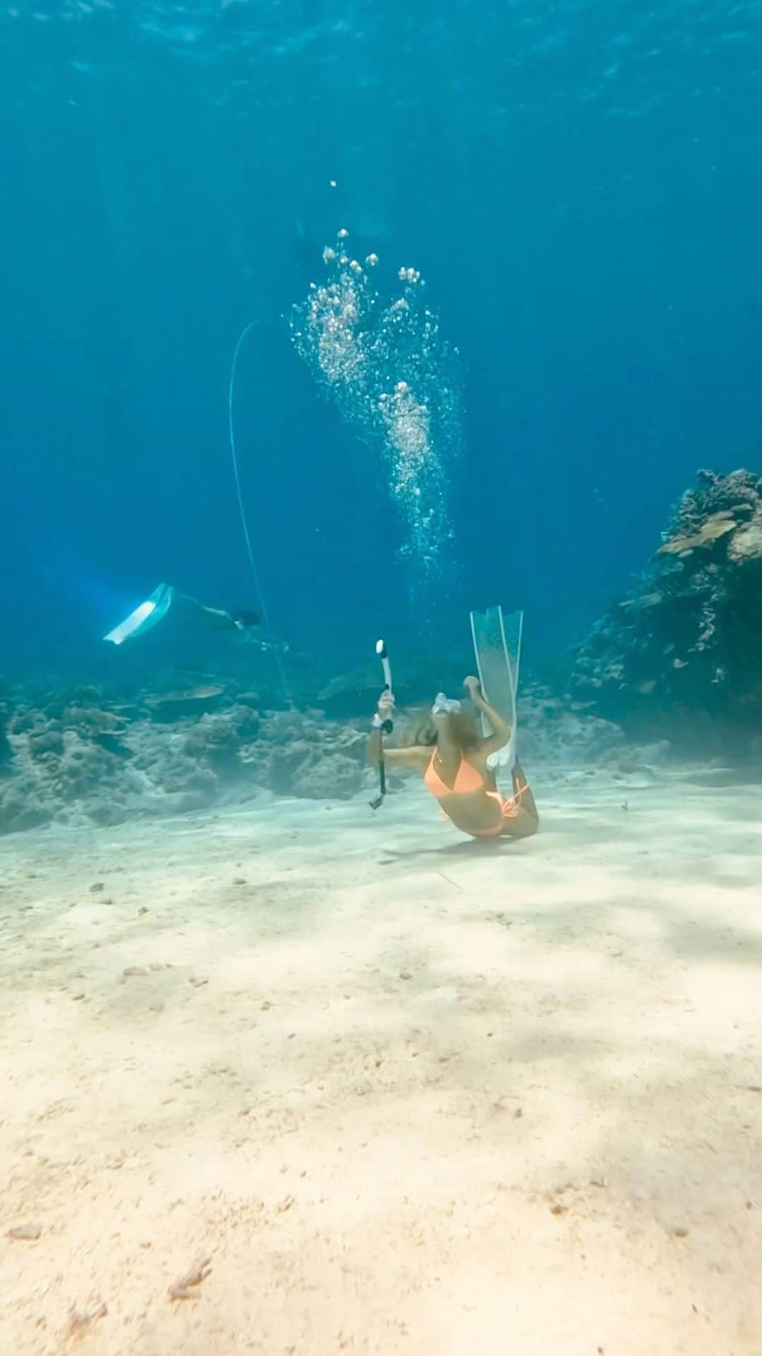 ToyoMaruのインスタグラム：「『癒し』をお届け🧜‍♀️🌺🫧 feel the Earth🌏 let's go to the Sea  📍okinawa japan Ryukyu islands vibes mermaid🧜‍♀️🫧  「控えめに言って、最高✨✨」  美しい💙 太陽の光のカーテン浴びに行きませんか🌞🌈  皆さんと素敵な瞬間を共有できることを 楽しみにしてます🧜‍♀️🌺🫧  ◆◆◆お知らせ◆◆◆ 365日年中無休・とよまるツアー🌺 なんでもご相談くださいませー！ ・無人島映えツアー🏝半or1day ・1日１組限定.船チャーター海遊び⚓️ ・慶良間ダイビング🤿 ・ジェットスキーツーリング🌊 etc…🌞  2023年2月〜3月 沖縄本島・那覇発🛥ホエールスイム🐳  2023年1月〜4月 与那国trip✈️ハンマーツアー🦈  2023年11月モルディブtrip✈️ 初の島ステイが実現🏖  開催します👏👏👏 それぞれ詳細お知らせします🤗 ご興味ある方📩DMください！ ご予約・お問い合わせお待ちしております ⚓️⚓️⚓️⚓️⚓️⚓️⚓️⚓️  #映え職人  #映えまる  #映えまる水産  #とよまるツアー  #toyomaru号  #okinawa  #skindiving  #gopro  #travel  #sea  #沖縄 #沖縄旅行 #旅行  #スキンダイビング  #無人島 #水着  #慶良間諸島 #ドローン  #インスタ映え  #網美景點 #沖繩 #沖繩旅遊  #潛水 #自由潛水  #leaderfins #タビジョ」