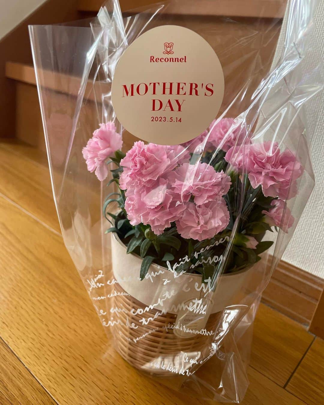 日暮愛葉さんのインスタグラム写真 - (日暮愛葉Instagram)「娘から母の日のプレゼント🎁こちらこそ いつもありがとう😊  可愛い😍💕🩷  #母の日  #母の日プレゼント  #ピンクのカーネーション #カーネーション」5月14日 11時48分 - aiha_higurashi
