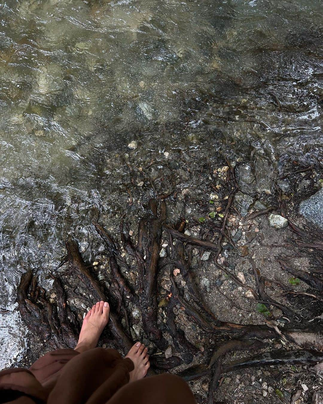 ローラさんのインスタグラム写真 - (ローラInstagram)「Barefoot hiking in Pasadena🦶😁🦶🌱  Earthing ♪ Earthing ♪  カリフォルニアのパサディナでとってもすてきなハイキングコースをみつけたよ〜😊　どんどん奥に進むと、滝がみえてくるんだけどね、夜はお友達のお誕生日があったから、途中でひきかえしちゃったよ♪ また次に行くときは滝をみにいくぞ〜ぅ♪ ハイキングは、今回も裸足でチャレンジしてみたよ♪ 最初はちょっとだけ痛いけどどんどん足の裏が岩達になれて、足ツボ感覚になってきて、アーシングも同時にできるから、終わった後は、信じられないくらいすーっきりしたよ😍🌱 自然のパワーはすごいなぁ♪ 今回は行って帰ってきて約4時間だったよ！　滝まで行くともうちょっとあるとおもう♪ カリフォルニアにきたらぜひ寄ってみてね🏔おすすめだよ〜^o^🐕」5月14日 13時33分 - rolaofficial