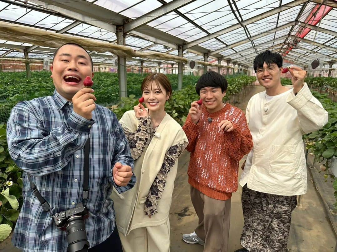 フジテレビ「なりゆき街道旅」さんのインスタグラム写真 - (フジテレビ「なりゆき街道旅」Instagram)「次回5/21(日)12:00～放送のなりゆき街道旅は袖ヶ浦をなりゆき旅！旅人は白石麻衣。約1万5千株の菖蒲園！市場に出回らない希少なイチゴ狩り＆東京ドイツ村で癒やしの動物ふれあい体験！ディナーは豪華な蟹づくし。お楽しみ☆ #なりゆき街道旅  #フジテレビ  #袖ケ浦  #ハナコ  #白石麻衣  #菖蒲園  #イチゴ狩り  #東京ドイツ村  #動物ふれあい  #蟹つぐし」5月14日 14時00分 - nariyuki_kaido_tabi