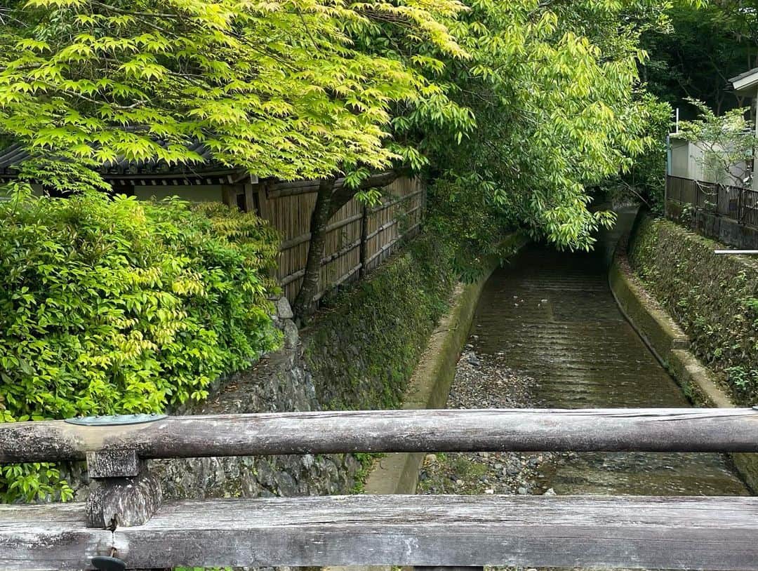 藤沢久美さんのインスタグラム写真 - (藤沢久美Instagram)「苔寺こと京都の西芳寺へ。  かつて日本で初めて枯山水を施した寺。その後、歴史の中でお寺が廃れ、苔に覆われてしまったけれど、それがまた新たな風情を生み出し、苔寺と呼ばれるようになったとか。  京都の西側で谷に位置する西芳寺は、そこに出で立つ者の持つすべての濁りを地中深く吸い込んでくれるような不思議な力を持つ場所でした。  聖徳太子の別荘地として始まり、行基がお寺を建て、夢窓国師が再建し、今に至るまで、法相宗、浄土宗、臨済宗と、宗派も変遷してきているという不思議な役割を持つのだと思う。  1人で静かに訪問してみたい場所でした。  #saihoji  #kyoto」5月14日 14時23分 - kumifujisawa