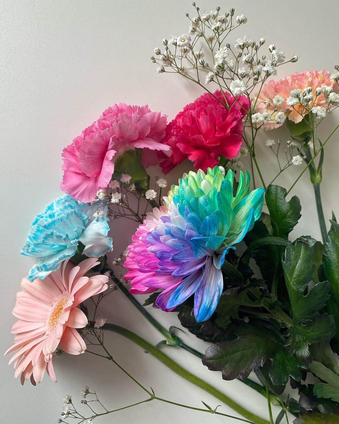 ayuのインスタグラム：「🌸🌼🌺🌈 今年も朝から行き先は秘密♩と言って 出かけて行った👨🏻👧🏻👧🏻🐶🐶(近所のお花屋さんへ) それぞれが選んだお花を花束にしてくれたんだって💐♡ いろんな色があって元気出る🌈 パパめめねねフランミルありがとう♡」