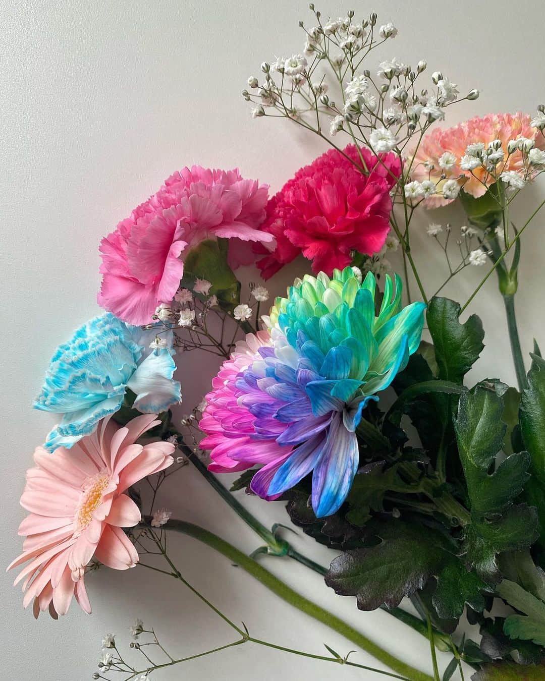 のインスタグラム：「🌸🌼🌺🌈 今年も朝から行き先は秘密♩と言って 出かけて行った👨🏻👧🏻👧🏻🐶🐶(近所のお花屋さんへ) それぞれが選んだお花を花束にしてくれたんだって💐♡ いろんな色があって元気出る🌈 パパめめねねフランミルありがとう♡」