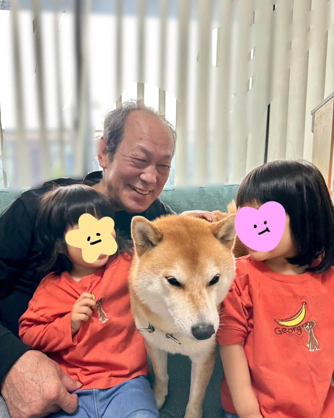 大山加奈さんのインスタグラム写真 - (大山加奈Instagram)「. じぃじと孫たち👧🏻👧🏻🐕 . ふたりの顔を隠さずみてほしいくらい めずらしく2人ともすごい笑顔で写っていて… とっても良い写真が撮れて… この写真見てるとなんだか泣けてきてしまって ふたごがお昼寝している横で 写真みながら泣いている今🥲 . みんなを幸せな気持ちにしてくれる ふたりといっぴきに 産まれてきてくれてありがとう 我が家に来てくれてありがとうの 気持ちでいっぱいな母になって3回目の 母の日になりました。 . . 5月は母の誕生日と母の日と母の命日があり 色々な思いを馳せる1ヶ月です。 ふたりに会わせたかったな…という 想いは年々強くなります。 空からみているだろうと信じて。 母がしてくれたように愛情たっぷり ふたりをしっかり育てていきます‼︎ . . #母の日#じぃじと孫  #双子#twins #ツインズ#双胎#双子出産 #双子育児 #ddtwins #dd双胎#多胎育児 #2歳児#2歳双子#だいず🐕💓#柴犬と子供」5月14日 15時04分 - kanaoyama0619