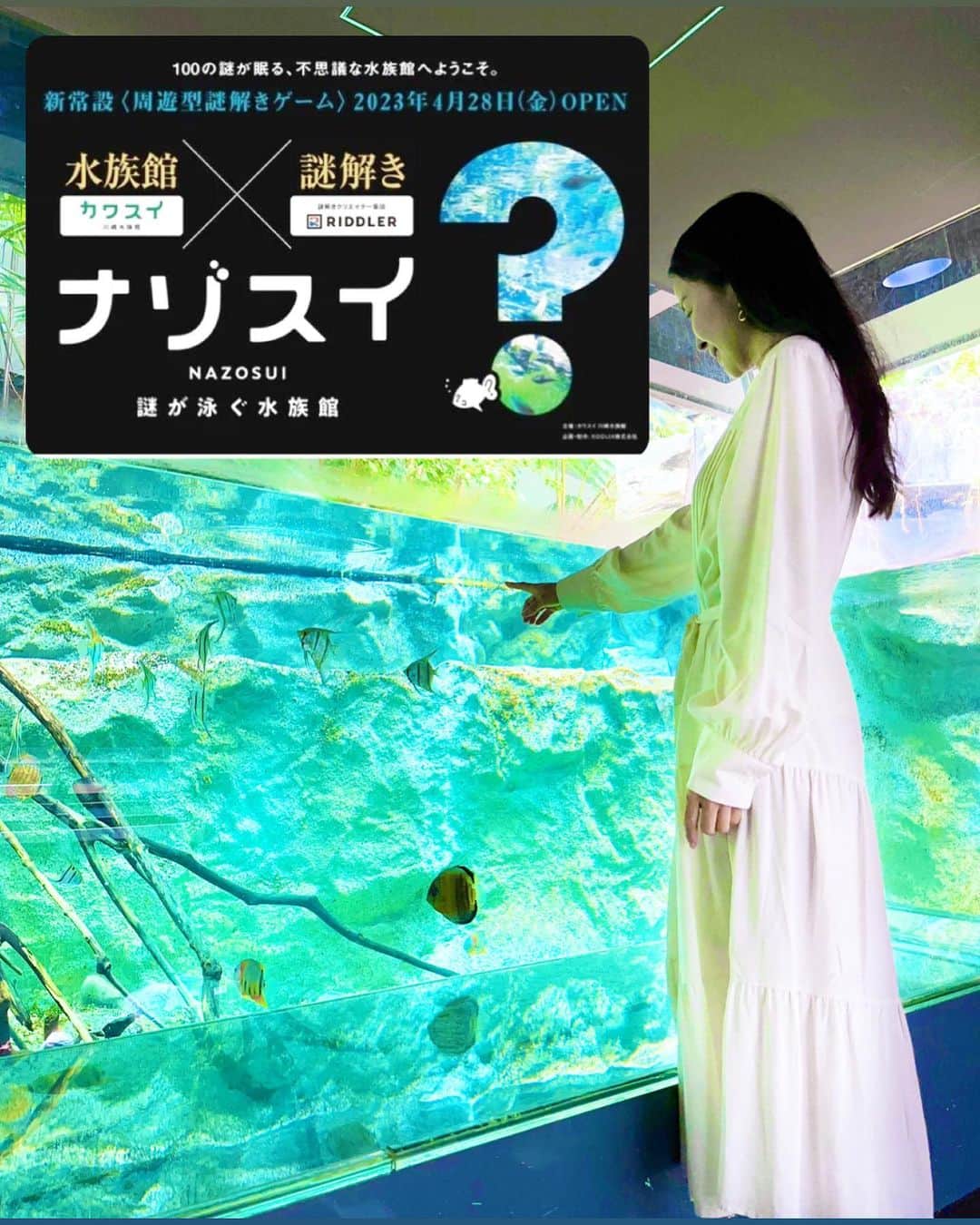 大桃美代子さんのインスタグラム写真 - (大桃美代子Instagram)「カワスイ、  川崎水族館がエンターテイメント空間に！  川崎駅から歩いて１分のルフロンの１０階に  カワスイがあります。@kawasui_aqua  今流行りの、謎解きをやっているとのこと。（4月27日からスタート）  ファミリーやカップルが多くて楽しい空間です。  予約は「アソビュー！」というアプリから。  早割だとお得に購入できます。  受付で予約画面を見せて、クイズの冊子をいただきGO  LINE登録して答えを送信して、クリアしていく仕組みです。  水族館❎謎解き❎LINE。  館内にはプロジェクションマッピングもあり、  エンターテイメントと、LINEのコラボ。  掛け合わせの時代ですね。  館内に貼ってある、ハテナウオを探し、  問題を解いていく。  謎解きは、松丸亮吾さんの「RIDDLER」が問題を作っているので、  結構難しいのです。  わからないときは、ラインで  「たすけて」と送ると  ヒントがもらえるので、  なんとか前に進みます。  自力で時間をかけるより、  わかる人に聞いて助けてもらう。  時代の歩み方、学びます。  昭和世代の、自力は役に立ちません。  隣の小学生も「むずい」って言ってました。  全部をクリアすると、  「クリアバッチ」をもらえます。  謎解き得意という方、  彼女にいいとこ見せてください。  子供にいいとこ見せたい方、  予習をお勧めします。  一度行って、クリアして、  それからファミリーで行って、  余裕を見せながら、謎解きを手伝ってあげる。  １回目だと「赤っ恥」の可能性ありです。  まあ、これも思い出になりますが。。。。  この謎解きのアイディア、  施設の展示も、配置も変えずに、  アトラクションを一つ増やしているという所が凄い！  LINEツールを使い、チャット形式で個別対応。  スタッフを増やすことなく、  イベントを増やす。  お金をかけない（少しはかかっているが、設備投資がいらない）  イベント作り。  同時に「う○こ水族館」も開催中。  う○こを見たり、匂いも嗅ぐことができるらしい。  子供は「う○こ」が大好き。  同時開催しても、場所を取り合わないイベント構成。  「やるなぁ〜」と唸りました。  予約をした「アソビュー！」は旅行のアクティビティーで利用したことがあります。  首都圏の「アソビュー！」をもっと利用できそう。  新しい発見でした。  次回は、品川水族館や、池袋のサンシャイン水族館も行ってみたいな。  スマホとアプリでなんでもできる時代。  インバウンドも戻ってきて、  イベントやアクティビティーが予約必須。  海外も、美術館やイベントはスマホで要予約がほとんどだと聞きました。  スマホの攻略が、生活の鍵になりそうです。  PR@kawasui_aqua #カワスイ #水族館デート #関東おでかけスポット #旅プラン  #神奈川デート #アソビュー #川崎水族館 #カワスイ川崎水族館#地域活性化#コラボ#デート#川崎カフェ#川崎ランチ」5月14日 16時18分 - miyoko_omomo