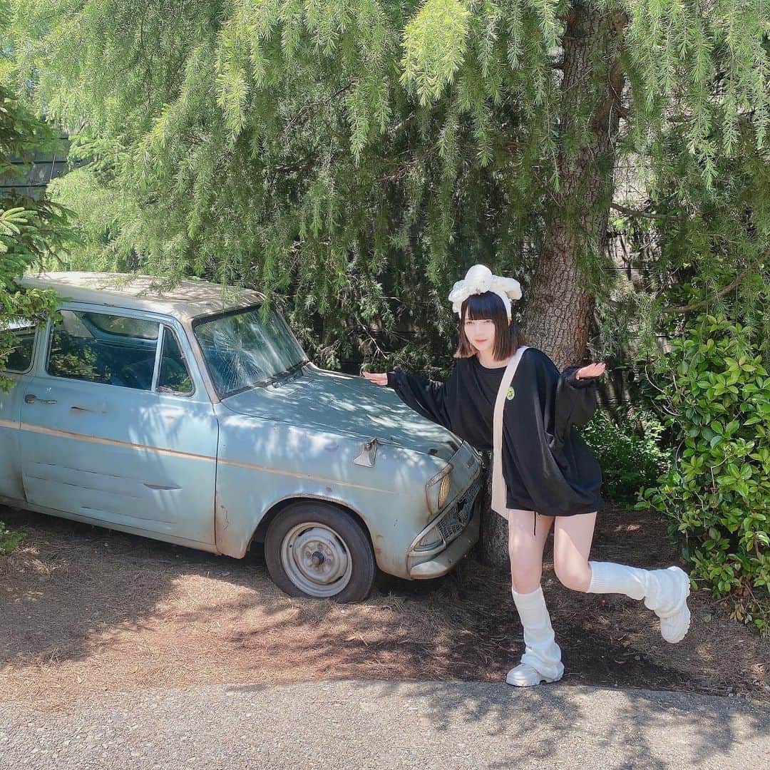 やねのインスタグラム：「ﾍﾄﾞｳｨｸﾞ＾­­-＾」