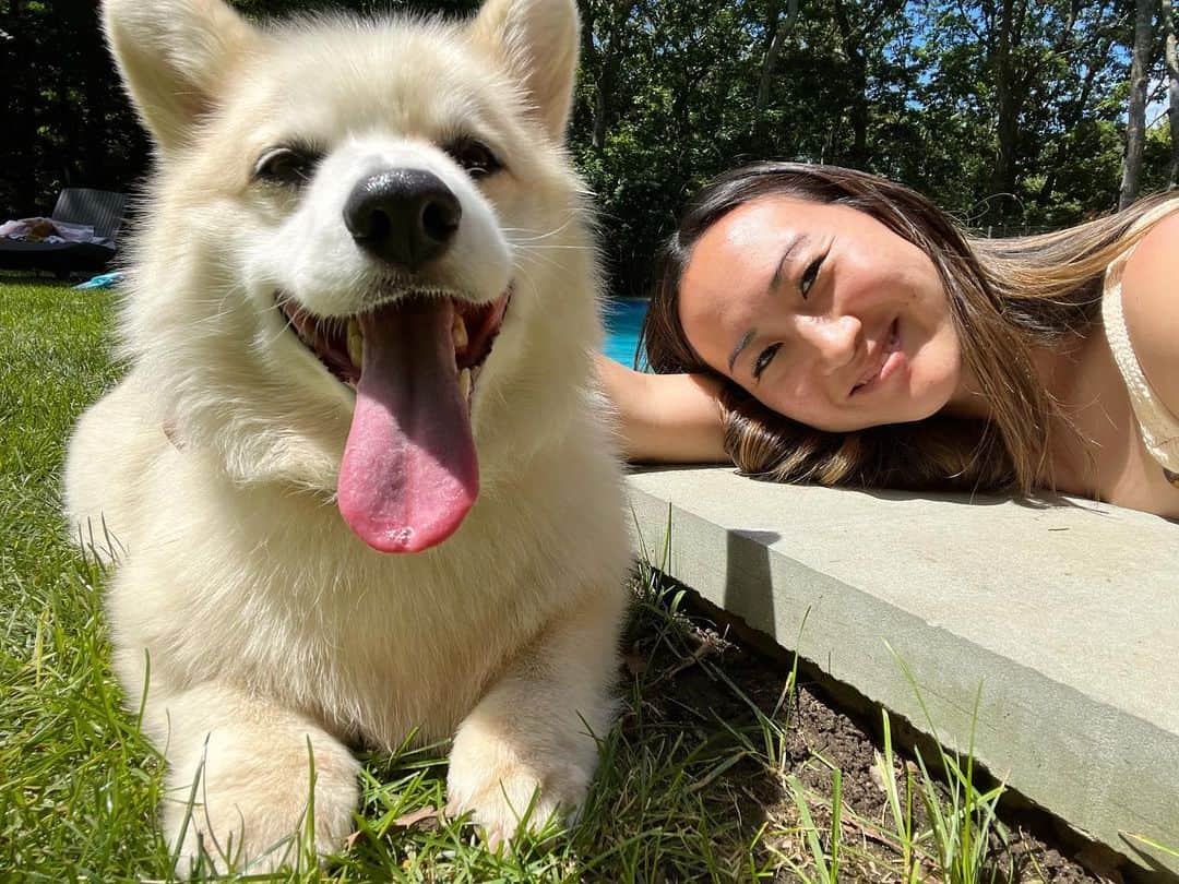 Winston the White Corgiのインスタグラム：「In the midst of taking care of everything and everyone else, my mom brings home wheatgrass to help me through my tummy aches (because I’m too good at clearing my little sister’s floor scraps). Little unsung moments like this make me appreciate my mom’s love for us. #HappyMothersDay to all the moms and mom figures out there, the true queens.」