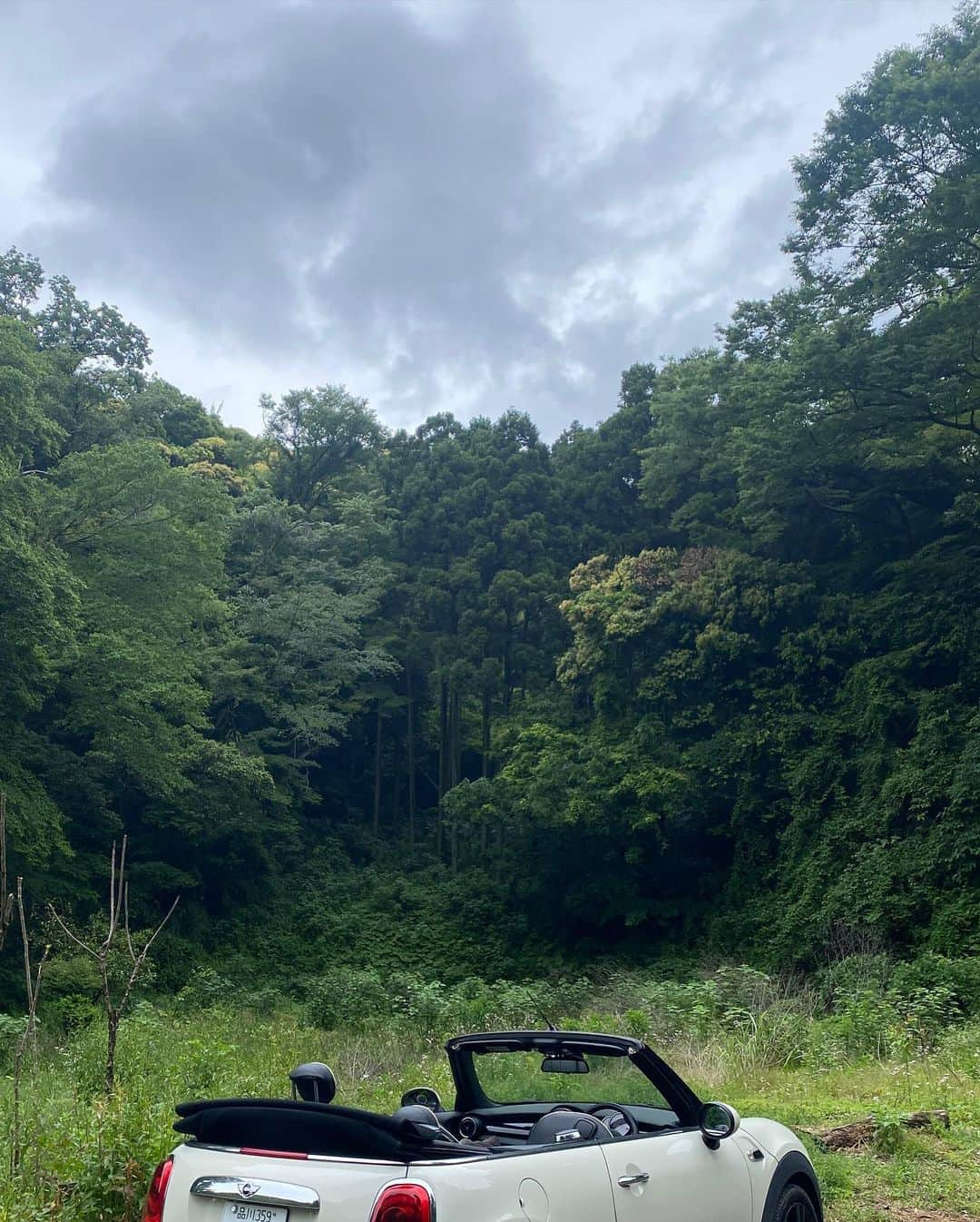 酒井景都さんのインスタグラム写真 - (酒井景都Instagram)「今日やえちゃん(やえこ)がお空に旅立ちました🕊   もう1週間ご飯を全く食べてなかったから覚悟はしていて、昨日はもう本当に最期だなって分かっていて…  ちょうどフォトグラファーのお友達が泊まりにきてたから生前最後の家族記念写真を撮ってもらいました(その写真はここには載せてないけど大事にするねありがとう🤍)  最期の２〜3ヶ月はずっと病院通いでした…  やえこは私ととても仲良しで、きこがお腹にいるときは、まあるい私のお腹の上にいつも頭を乗せていたから(写真3枚目4枚目)きこの胎教はやえこのイビキでした😌それが1番の思い出。多分私のこと大好きでいつも追いかけてくれていました。 (お腹がすいてるだけかも😂)  掃除してもしても散らかすし、やらかすし大変なこともたくさんあったけど家に帰ってきても、もういないの寂しいな。起きてるときもかいてたあのイビキ聞こえないのも寂しいな。 　 たくさんの温かい日常をありがとう。ぶんたとお空で仲良くやってね。  ※追伸 ぶんたの時ご報告できてなくてすみません。私の中で２人がセットなのもありその時はなんとなく皆様に報告する気持ちになれなくて会った人とか聞かれた人にだけ話していました。」5月14日 18時36分 - katiiesakai