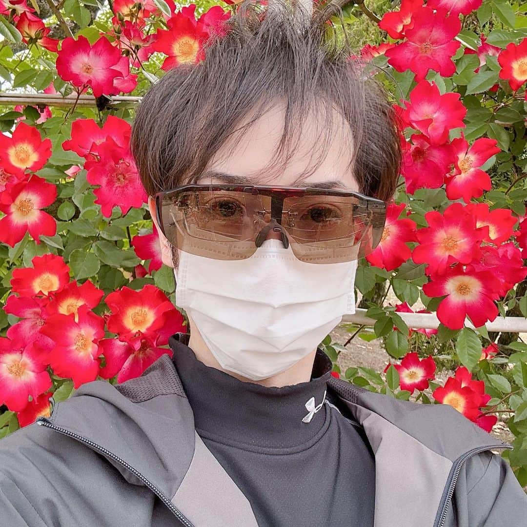 三宅裕貴さんのインスタグラム写真 - (三宅裕貴Instagram)「今月の5月5日にRSKバラ園のツツジの観賞に行ってきました。  受付にて、ツツジ開花中ですが終わりかけ(開花カレンダー通り)、バラが咲き始めとのことでした。 でも、せっかく来たし観たい！ってことで入場しました。  バラ園入り口をくぐり右側に小さいゲートを発見しました。 小さいゲートをくぐると可愛い『つるローズうらら』が咲いていたので撮影しました。  続いて、ツツジを撮影しました。 5月5日は、確かにツツジの開花が終わりかけていましたが、楽しかったです。 (8枚目の写真をお客さんに撮影して頂きました。撮影ありがとうございました。) 9枚目は、外観を損わない分かりやすい看板があり、辺りも綺麗に整備されていたので撮影して載せました。  26度の暑さの為、休憩へ。 出口が広くてバリアフリーだったので撮影して載せました。  つづく  #ゴールデンウィーク #5月5日 #rskバラ園 #バラ園 #rosegarden #장미정원 #偏光グラス #polarizedsunglasses #편광유리 #つるローズうらら #ローズうらら #つるバラ #ツツジ #azalea #진달래 #観賞 #admiration #관상 #バリアフリー #岡山観光 #岡山 #okayama #오카야마 #おかやま」5月14日 18時38分 - yuhkimiyakeevo