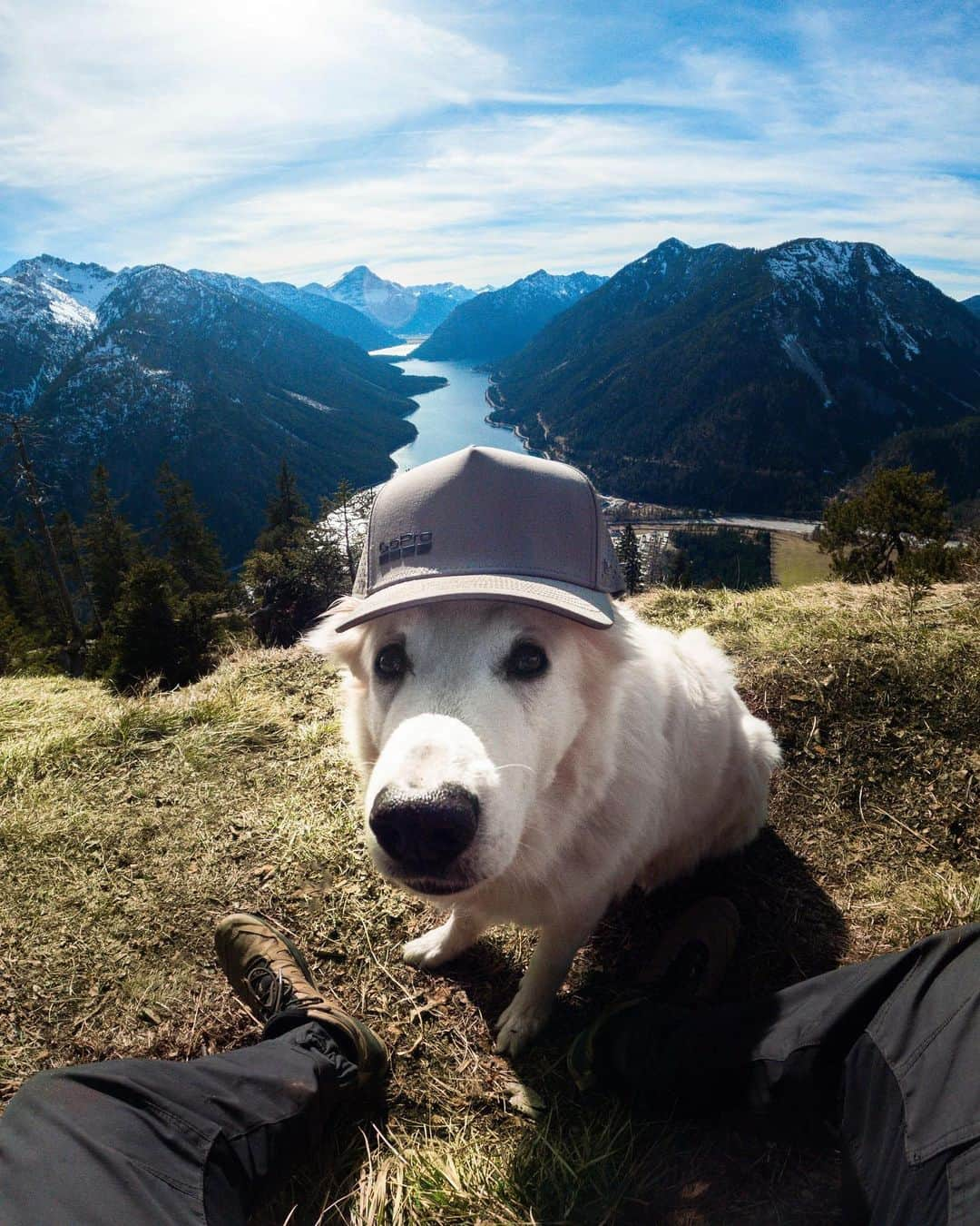 GoProさんのインスタグラム写真 - (GoProInstagram)「人間・動物問わずクールなアウトドアキャップ🧢 水をはじいて浮かぶ @melin Odyssey HYDROキャップはサブスクユーザーなら10%お得。今すぐチェックしよう！👌  📷🐕 #GoProファミリー @thecamofsam + #GoProHERO11 Black ・ ・ ・ #GoProDE #GoProJP #GoPro #GoProPets #Hiking #melin #ハイキング #トレッキング #犬 #散歩 #キャップ #帽子」5月14日 19時04分 - goprojp