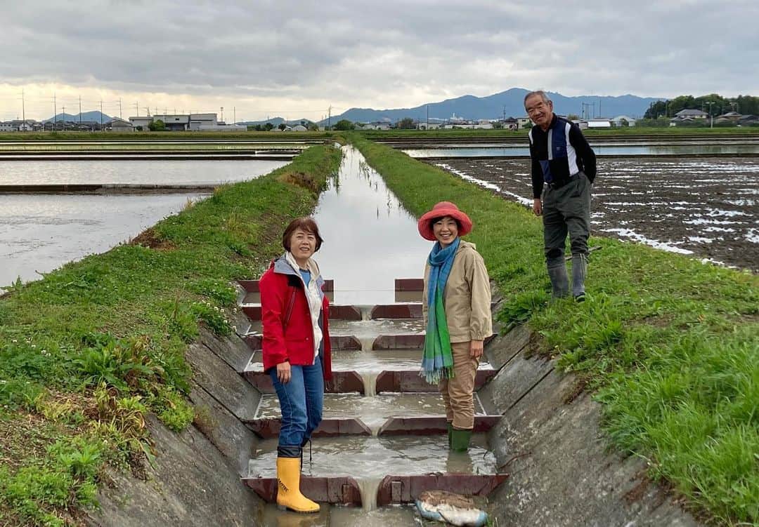 小谷あゆみのインスタグラム：「#世界農業遺産 森里湖に育まれた漁業と農業が織りなす #琵琶湖システムーー‼️  母なる湖、琵琶湖の周りでは水を守るために農業も漁業も持続可能な環境保全型に。それは新しい動きではなく、昔ながらの伝統技術に習うことだったのです。  須原ゆりかご水田・せせらぎの郷 堀さん、八尋さん 雨上がりの翌日は、魚道の水量が増え、 魚の遡上ジャンプが見られる可能性は高いとのことでしたが、 昨晩からの雨は大した量にはならなかったようで〜\(//∇//)\ 網ですくうと なんと稚魚が！！ よく見ると卵も！ 昨日は琵琶湖エリ漁師の駒井さんを取材。 琵琶湖のそばで暮らし、漁業、農業営む皆さんの活動から、里山、里湖の力！ 思い知りましたー 6月の第1月曜　日本農業新聞、シリーズ小谷あゆみの世界農業遺産リポート未来へ続く農の道③に掲載予定」