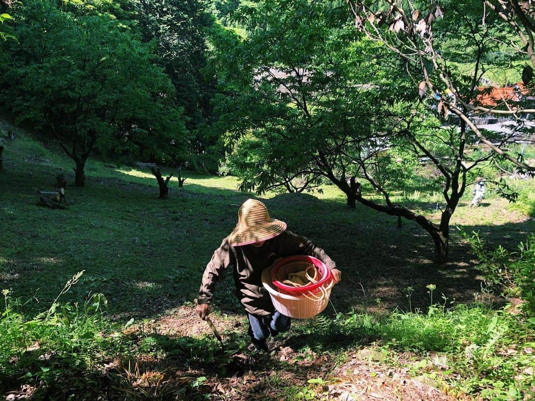 七咲友梨のインスタグラム：「🌸母の日🌸 お母さん、いつもありがとう！  山に行ったり、合歓の木を植えたり。  これからも楽しいこと一緒にしようね！  ピュアなみっちゃん大好きよ❤️  #母の日」
