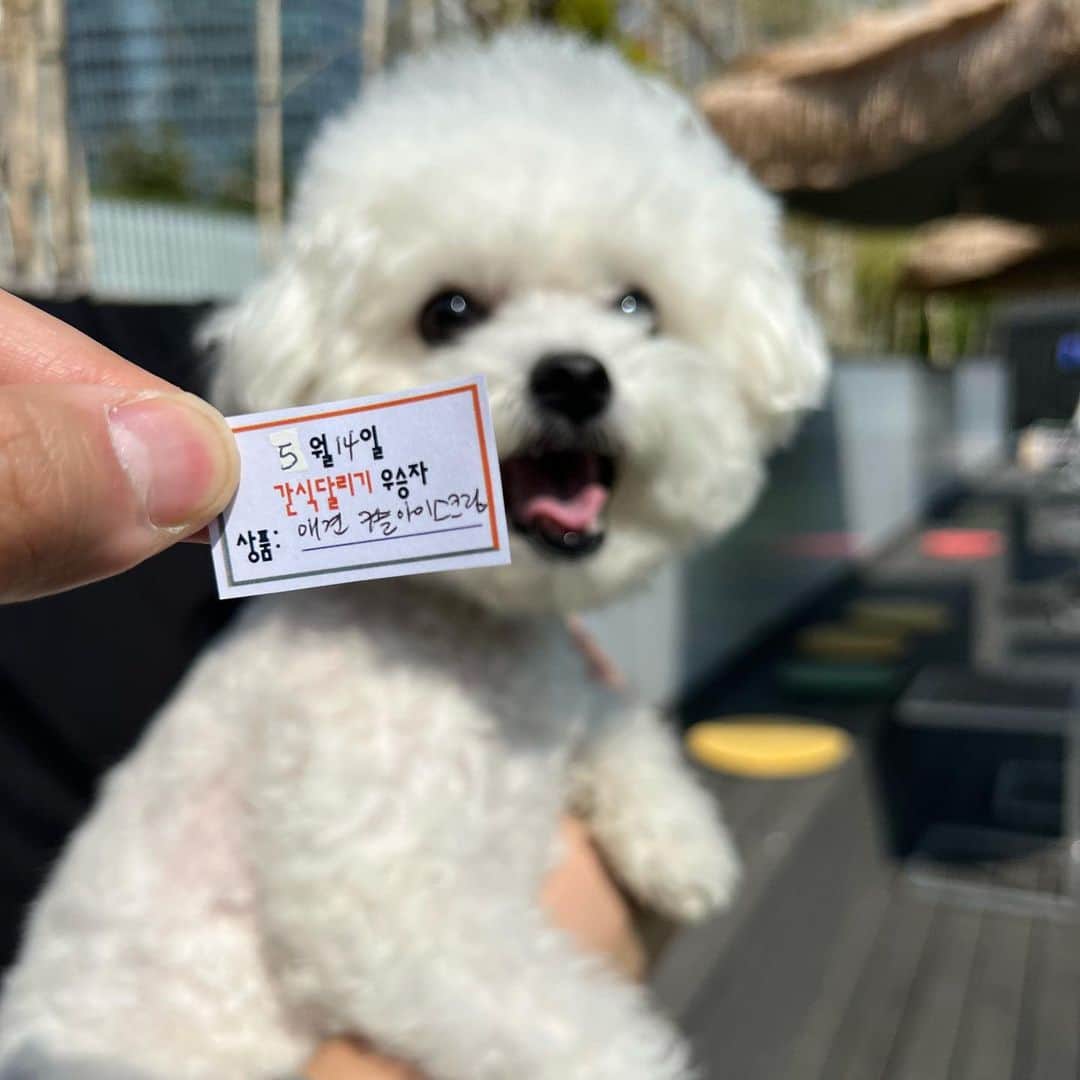 stone___ironのインスタグラム：「몇달 전 첫 시합때 꼴찌였는데 무려 조별 예선1위를 거쳐 결승에서 당당히 우승!  장하다🥹」