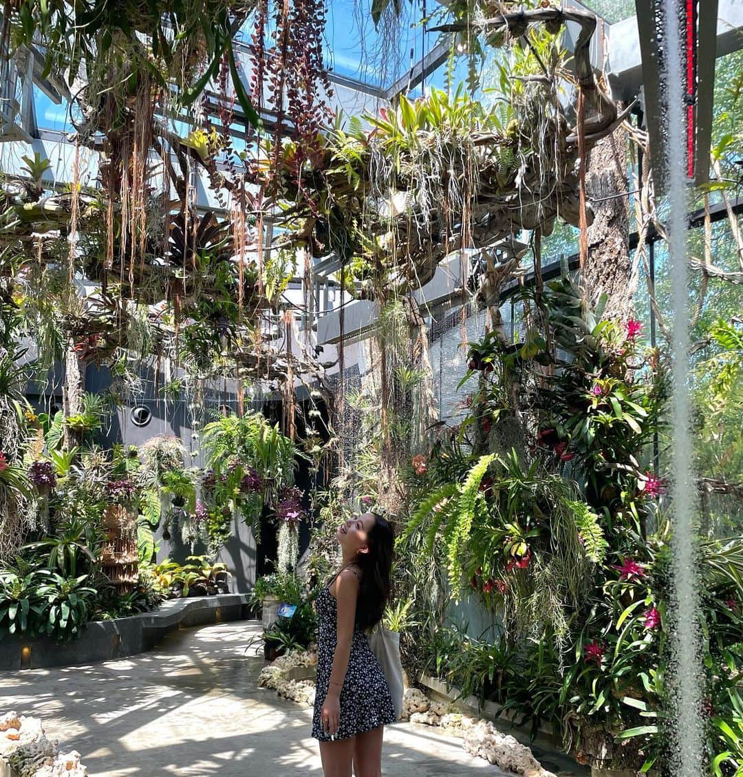 MANAのインスタグラム：「🇸🇬」