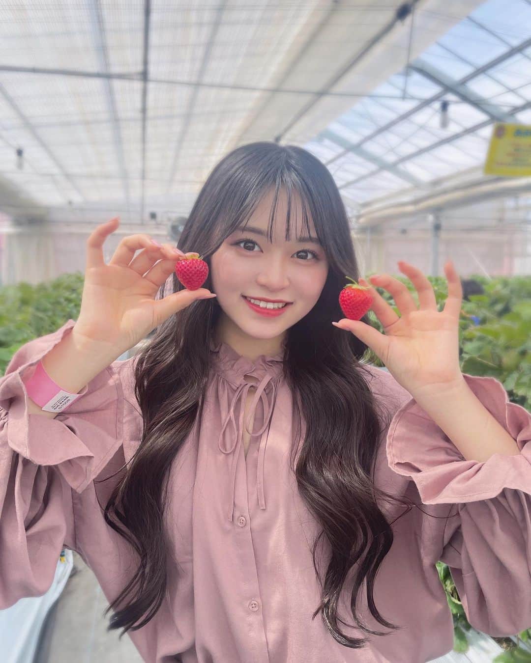 のインスタグラム：「♡♡♡  ちょいと遅めのいちご狩りいってきた~！🍓♡ いろんな品種食べ比べできて幸せだった➰🤍  #吉田恵芽 #05 #ljk #アイドル  #いちご狩り」