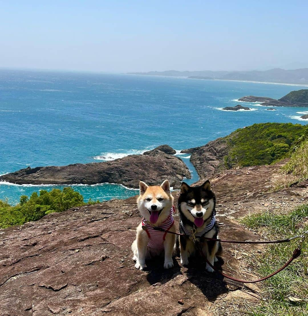 豆柴なつ&ふゆのインスタグラム：「Memories😊⭐️ クルスの海🌊😊  #想い出  #memories #海 #クルスの海  #旅行  　#shibainumag_feature #doglife #shibalife #shibaken #shibaaaaainu #shibadog  #柴犬#shiba #shibainu #shibastagram #shibamania #豆柴 #pecoいぬ部#doglove  #dogstagram #dogoftheday #instashiba #🐕📷 #ふわもこ部#shibaaaaainu #shibadog #shibaaddict #犬#instacute #柴#proudshibas #cutepets」