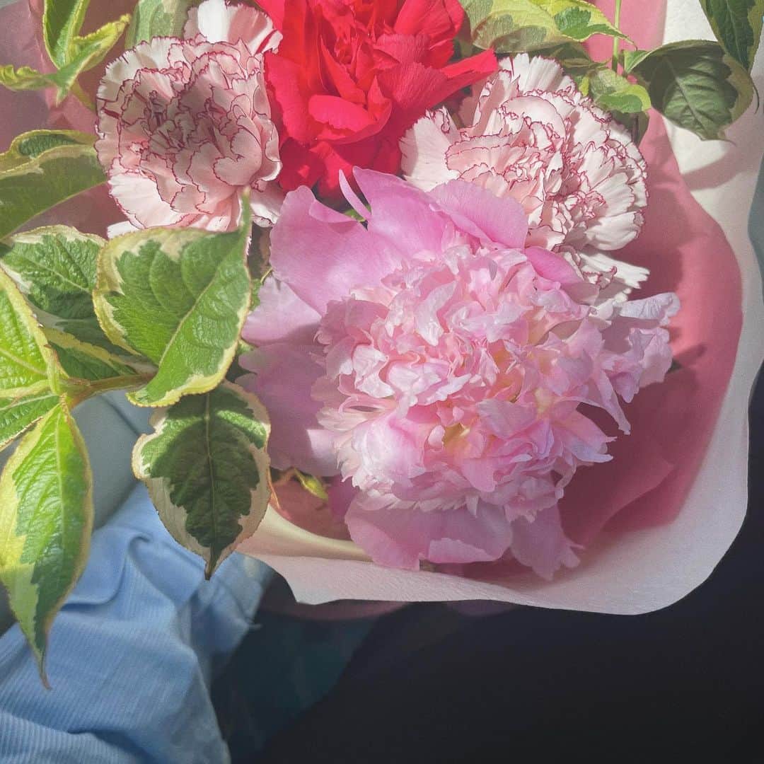 足立沙織のインスタグラム：「. いつもありがとうの感謝と いつまでも健康でいてねの気持ちを込めて お母さんとおばあちゃんに🕊✨  . #mothersday#carnationflower #母の日#カーネーション#お花のある暮らし  #식물인스타그램#식물스타그램#좋아요반사̆̈」