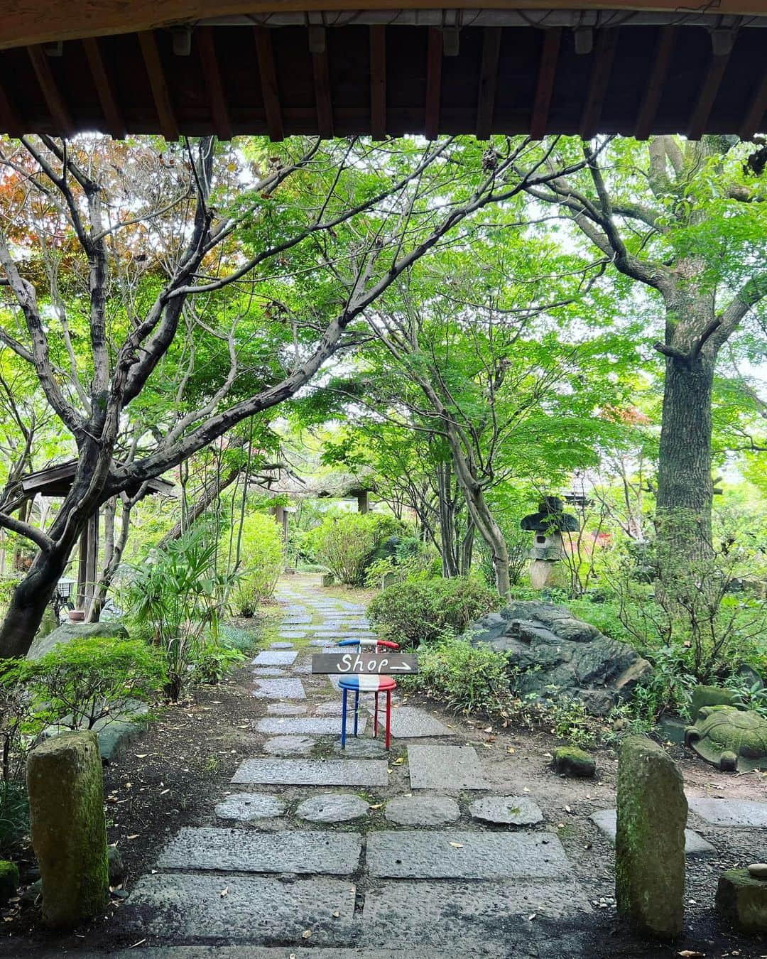 中矢邦子さんのインスタグラム写真 - (中矢邦子Instagram)「・ きょうはロケで古民家パン屋さんに🍞  素敵なお庭で体に優しい原材料を 使った美味しいパンを頂きました！  柔らかく穏やかな空気が流れています🍃  #パン工房minori #古民家リノベーション」5月14日 20時39分 - kuniko_nakaya