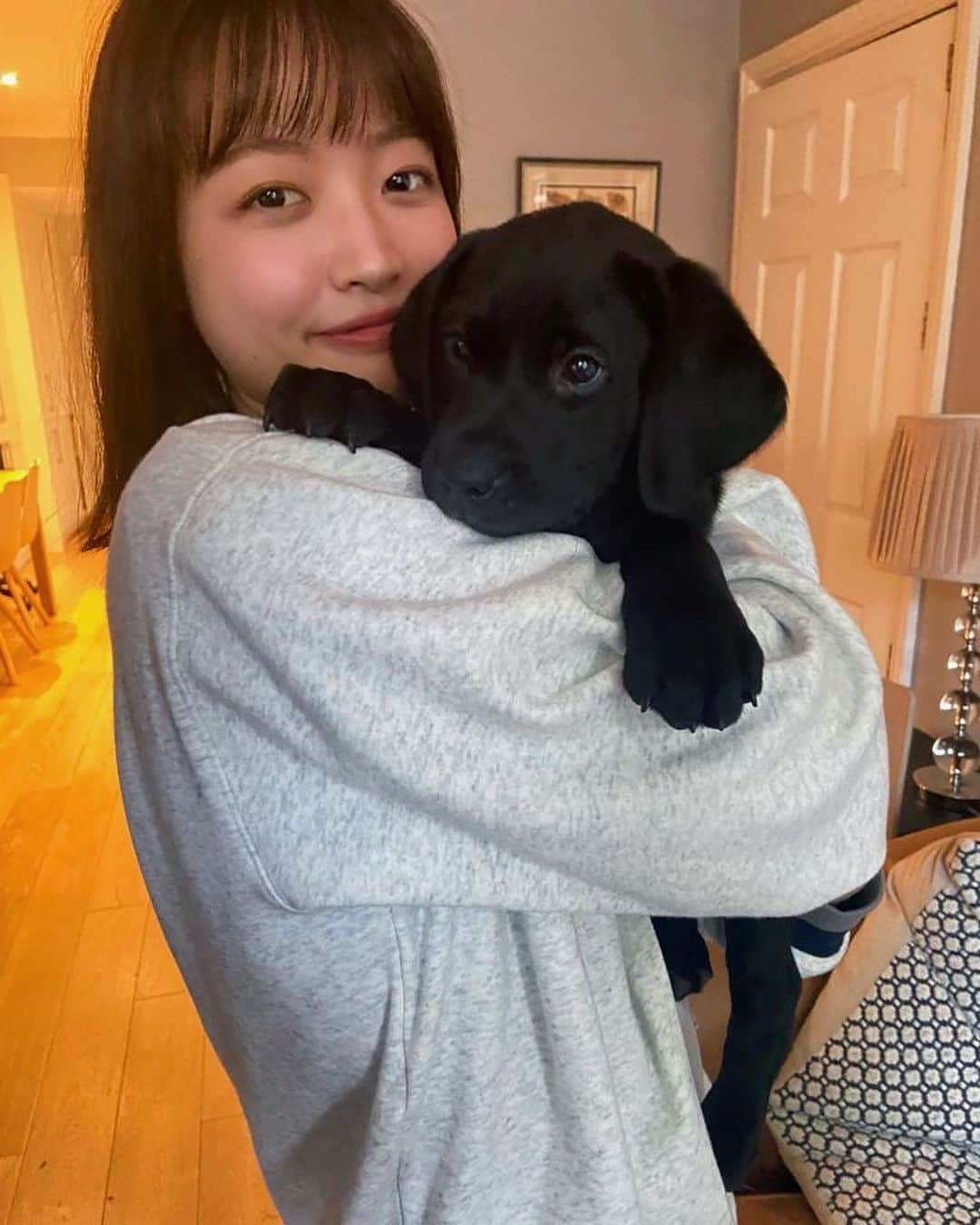 寺川里奈さんのインスタグラム写真 - (寺川里奈Instagram)「New family🐕❤︎  #dogs #puppy」5月14日 20時50分 - rina_terakawa