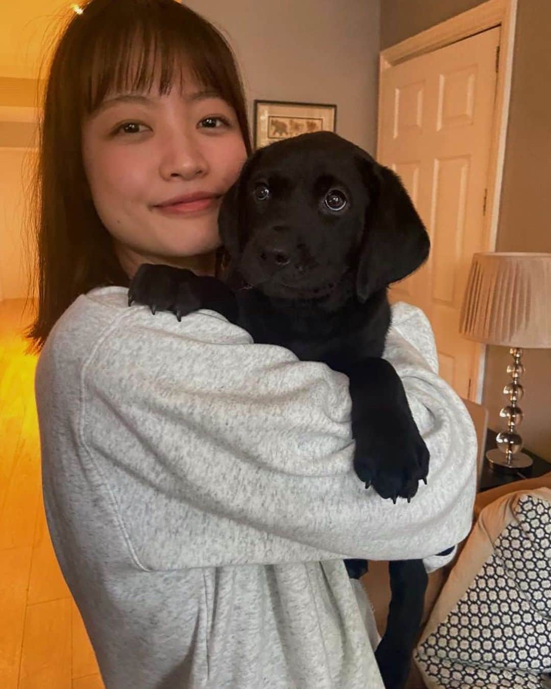 寺川里奈のインスタグラム：「New family🐕❤︎  #dogs #puppy」