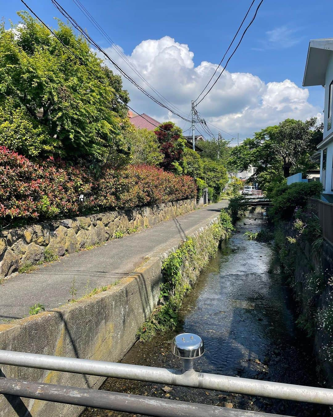 芝彰子さんのインスタグラム写真 - (芝彰子Instagram)「🌿  私のreset & power spot✨  今回も思いつきでふらっと一人 足の赴くままに…👟  歩いた事ない路地や住宅地🏘️も。  行く度に新しい景色との出会いや発見があって 行く度に魅了される大好きな街🕊️🤍  新緑と青い海と空…自然が大好きです♡  . #鎌倉 #kamakura #鎌倉散歩  #今回のテーマは新しい景色を見つける #沢山見つけられました👍💖 #santi #トンカ豆のジェラート #大きなしらす 😋🫶 .」5月14日 20時59分 - akiaki1221