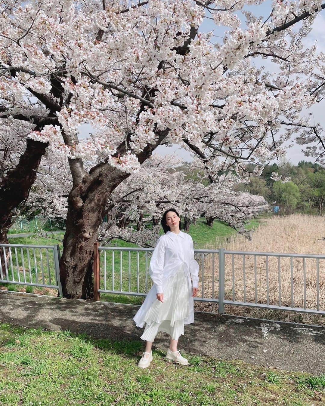 のん（能年玲奈）さんのインスタグラム写真 - (のん（能年玲奈）Instagram)「いわぎんのCM撮影。 ちょうど桜が満開。 待ち時間にお花見をしてたよ  Styling: @izumimachino Hair&Make up: Shie Kanno  #岩手 #岩手銀行 #🌸」5月14日 21時29分 - non_kamo_ne