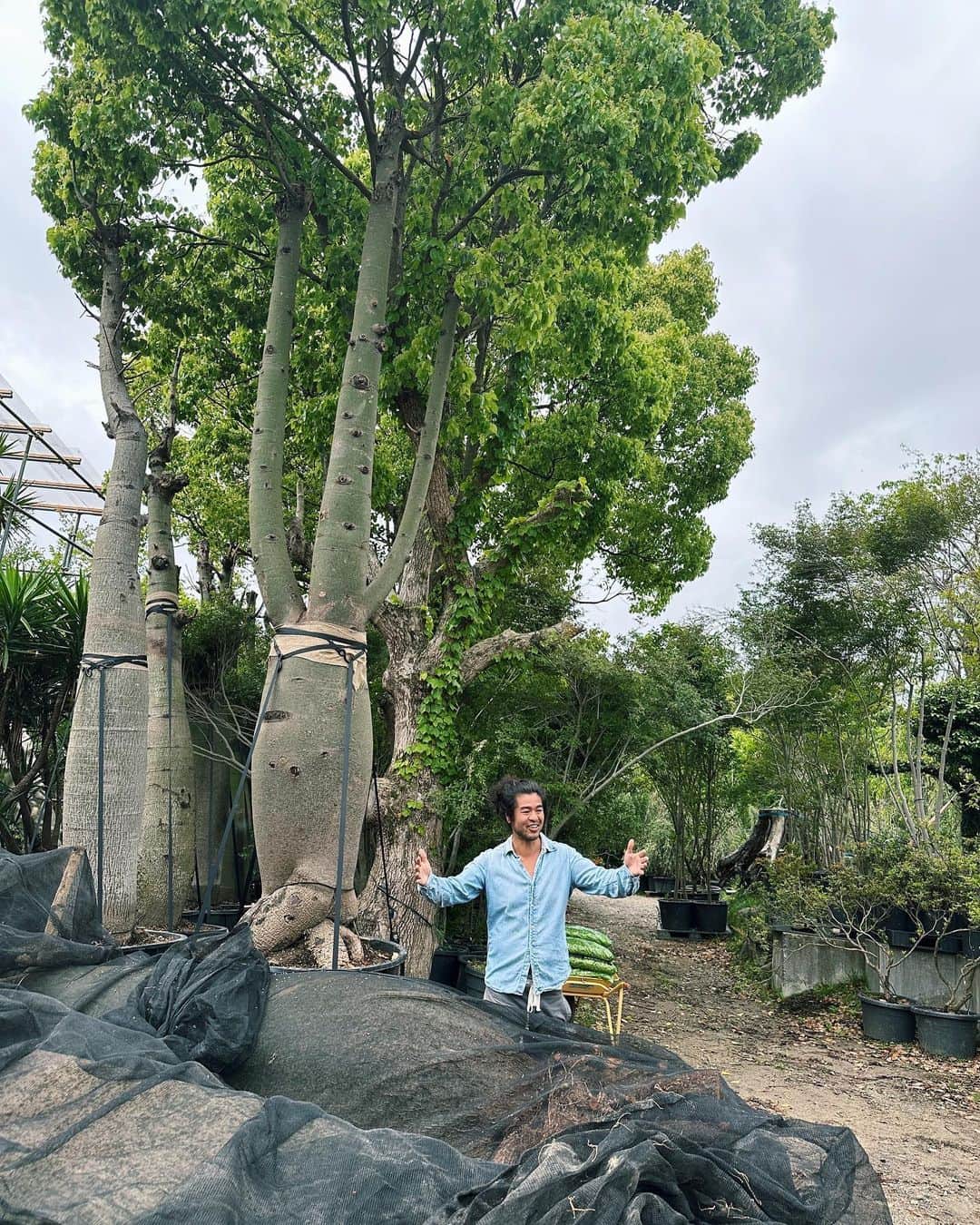 ベビちぃ。さんのインスタグラム写真 - (ベビちぃ。Instagram)「木登りの先生 @seijun_nishihata の植物園 @from_sora #そら植物園 に行ったよ🌴 今日は特別な植物ツアーと、BBQをしました。 植物のことをたくさん教えてもらえて、木登りもさせてもらってとても楽しかったよ😆❣️」5月14日 21時24分 - babychi_official