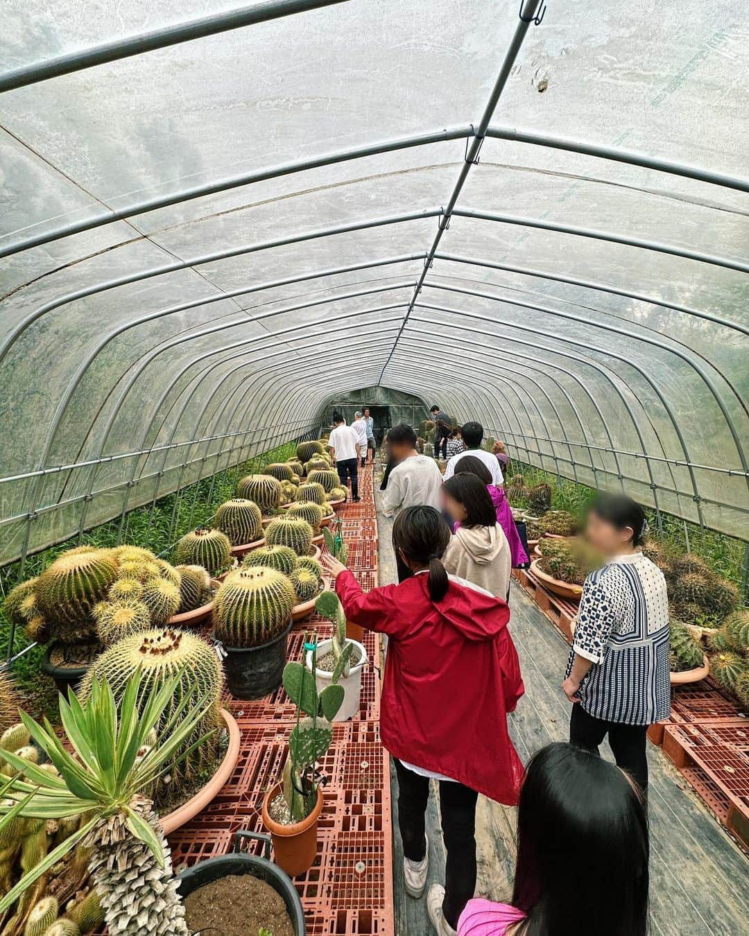 ベビちぃ。さんのインスタグラム写真 - (ベビちぃ。Instagram)「木登りの先生 @seijun_nishihata の植物園 @from_sora #そら植物園 に行ったよ🌴 今日は特別な植物ツアーと、BBQをしました。 植物のことをたくさん教えてもらえて、木登りもさせてもらってとても楽しかったよ😆❣️」5月14日 21時24分 - babychi_official