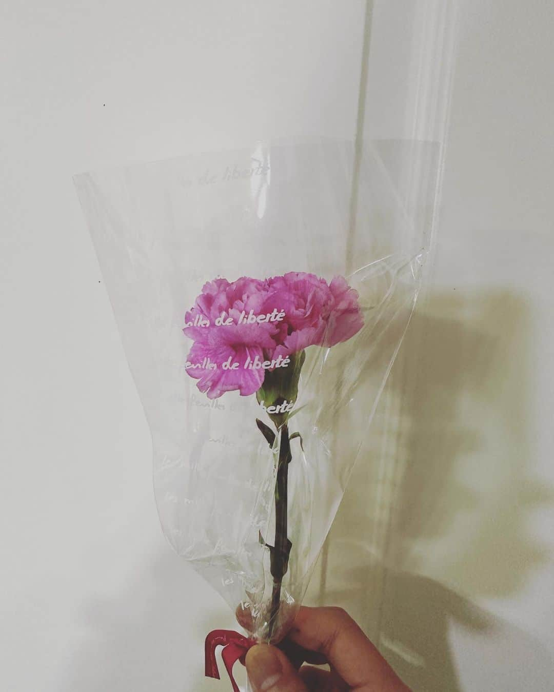 DAIGOさんのインスタグラム写真 - (DAIGOInstagram)「Mother's Day  全てのお母さんに  感謝！  #カーネーション #母の日 #母 #妻 #世界のお母さん #感謝 #一言でいい #伝えよう #ありがとう〜 #ついでに #俺のインスタ見てくれてるみんな #ありがとう〜」5月14日 21時32分 - daigo_breakerz_