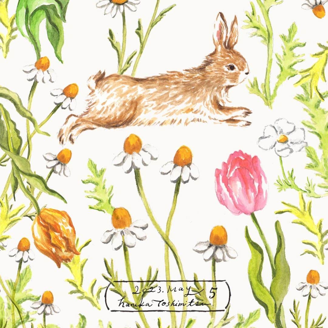 利光春華さんのインスタグラム写真 - (利光春華Instagram)「明日から新しい月曜日🌷 また心機一転、1週間がんばりましょ🐰  ということで、 週1更新中の持ち歩ける絵 。  今週は跳ねるうさぎと リクエストのチューリップ🌷  1週間を乗り切るためのお守り☺️  #持ち歩ける絵 #待ち受け画面 #明日からまた頑張ろう  #イラストレーション #illustration #artwork #rabbit #watercolor #水彩画」5月14日 21時33分 - harukatoshimitsu